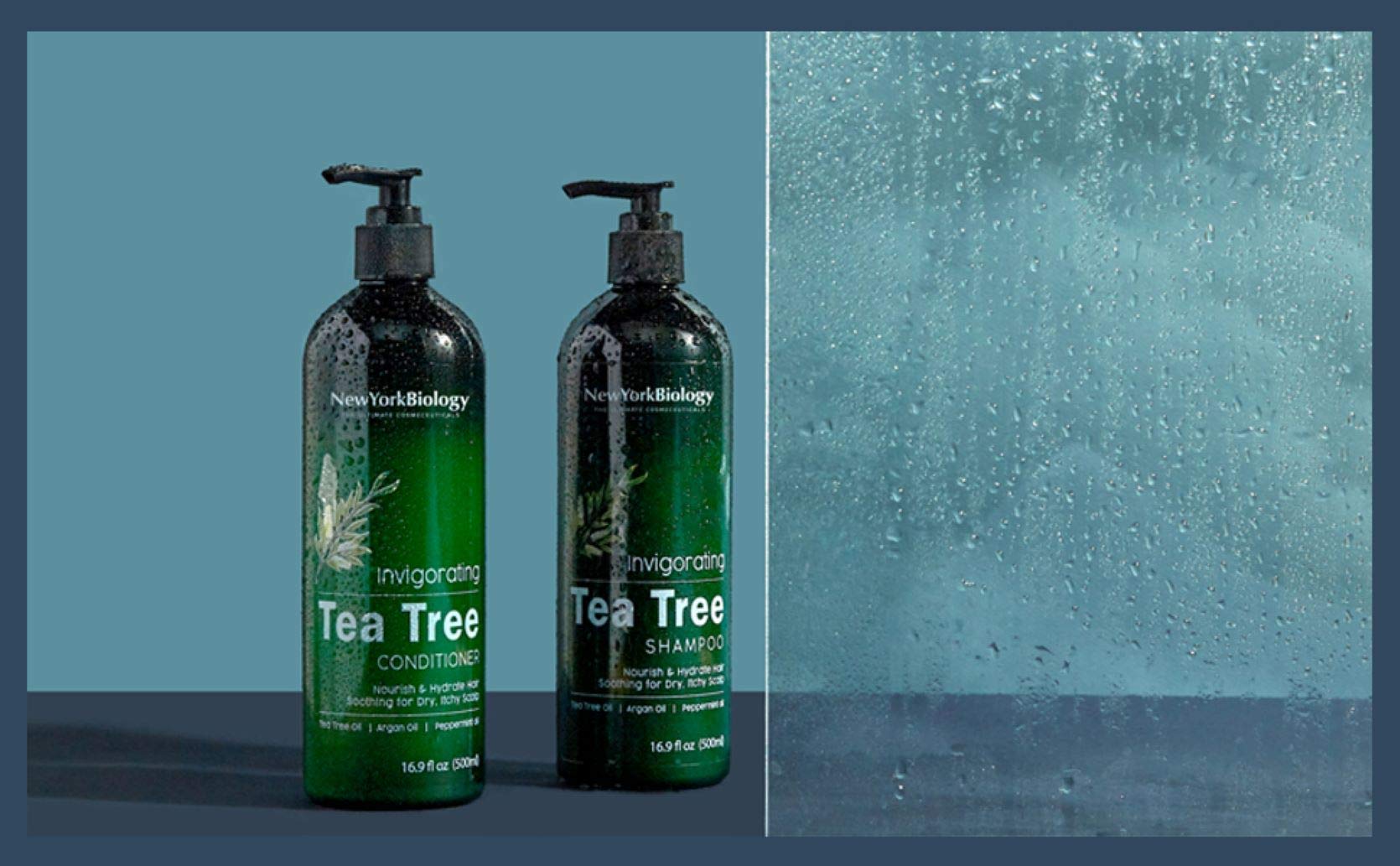 New York Biology Tea Tree Conditioner – Deep Cleanser for Dandruff & Dry Scalp – Hair Growth Support – 16.9 fl oz