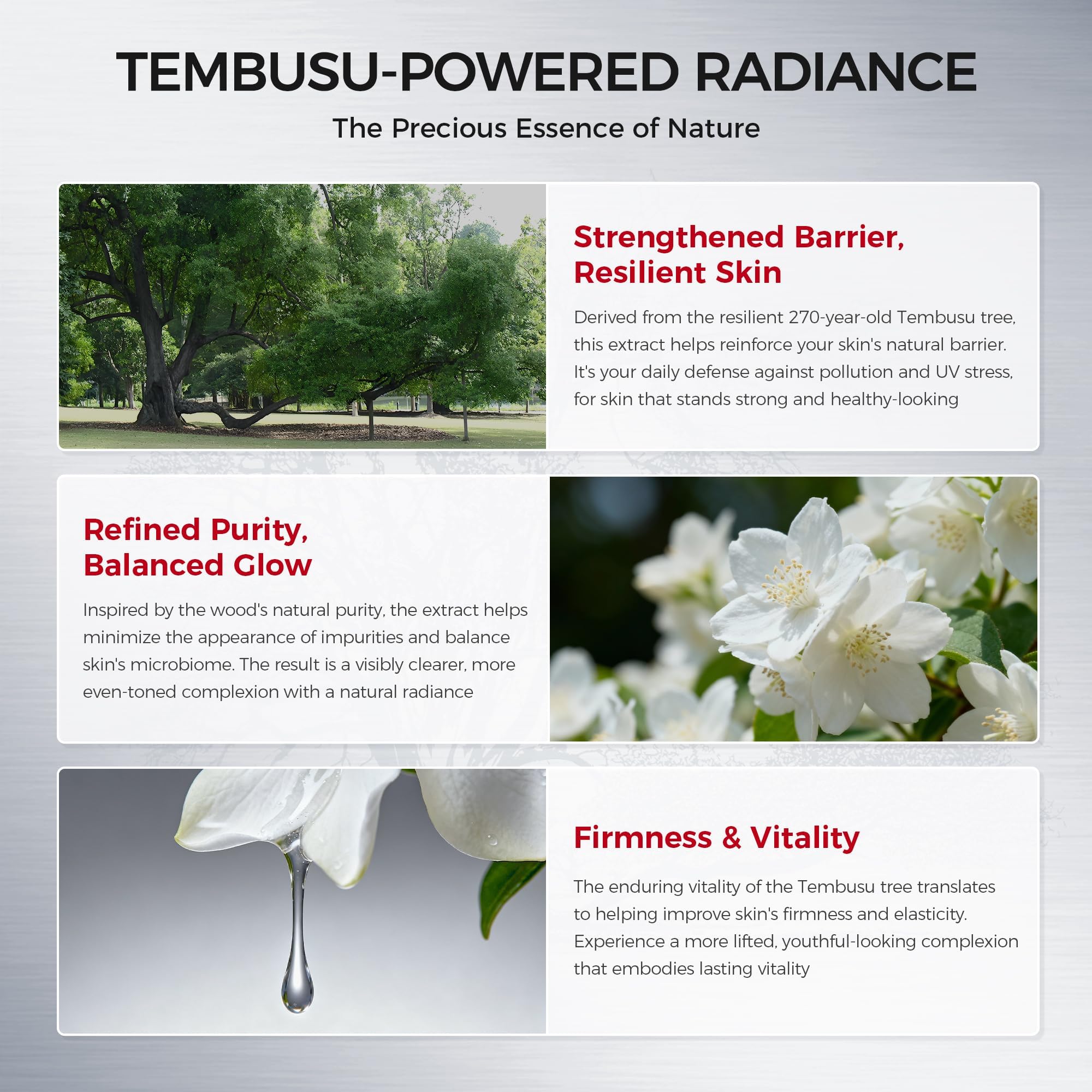 NING DERMOLOGIE 8-Step Tembusu Skincare Set — Complete Daily Routine for Sensitive, Dry, Oily & Aging Skin