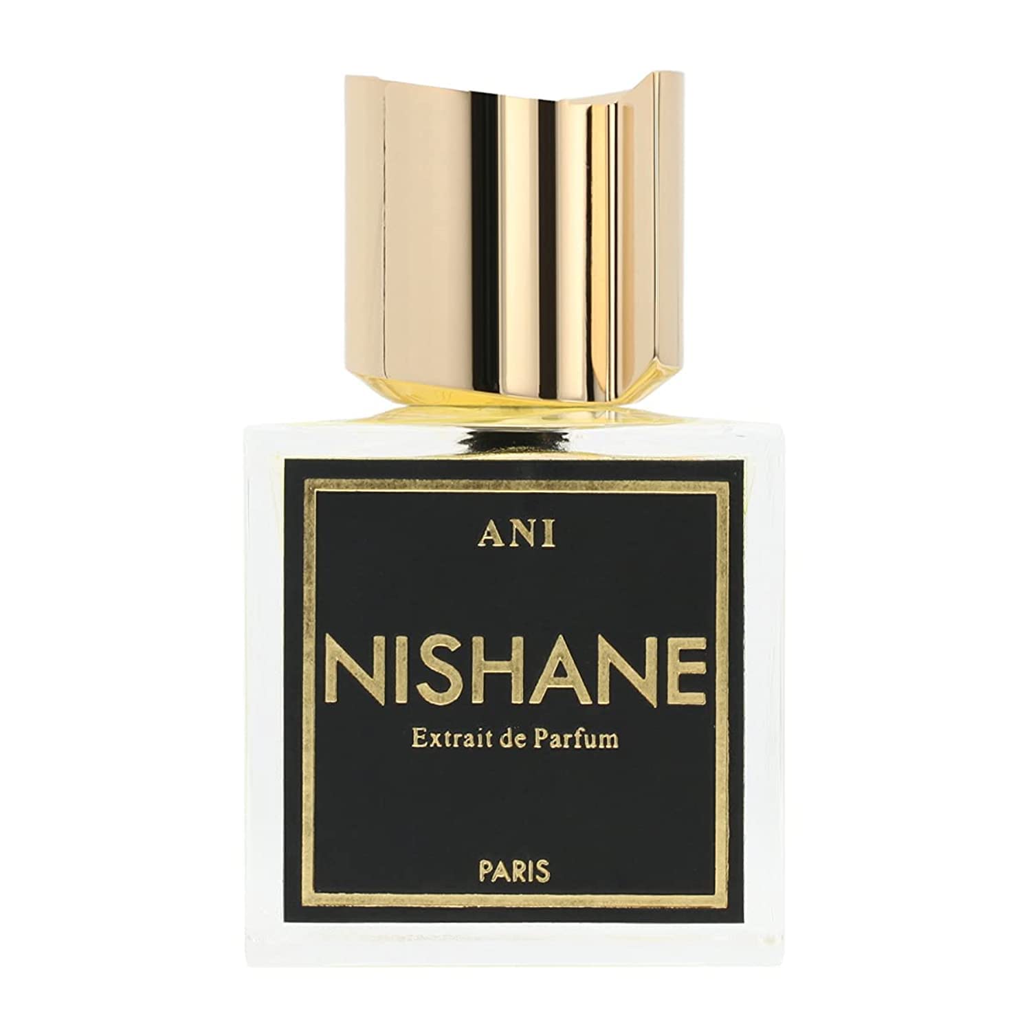 Nishane Ani Perfume Spray – Unisex Fragrance, 3.4 oz