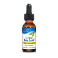 North American Herb & Spice Wild Oil of Bay Leaf – Organic, Non-GMO, 1 fl oz for Skin & Hair Support