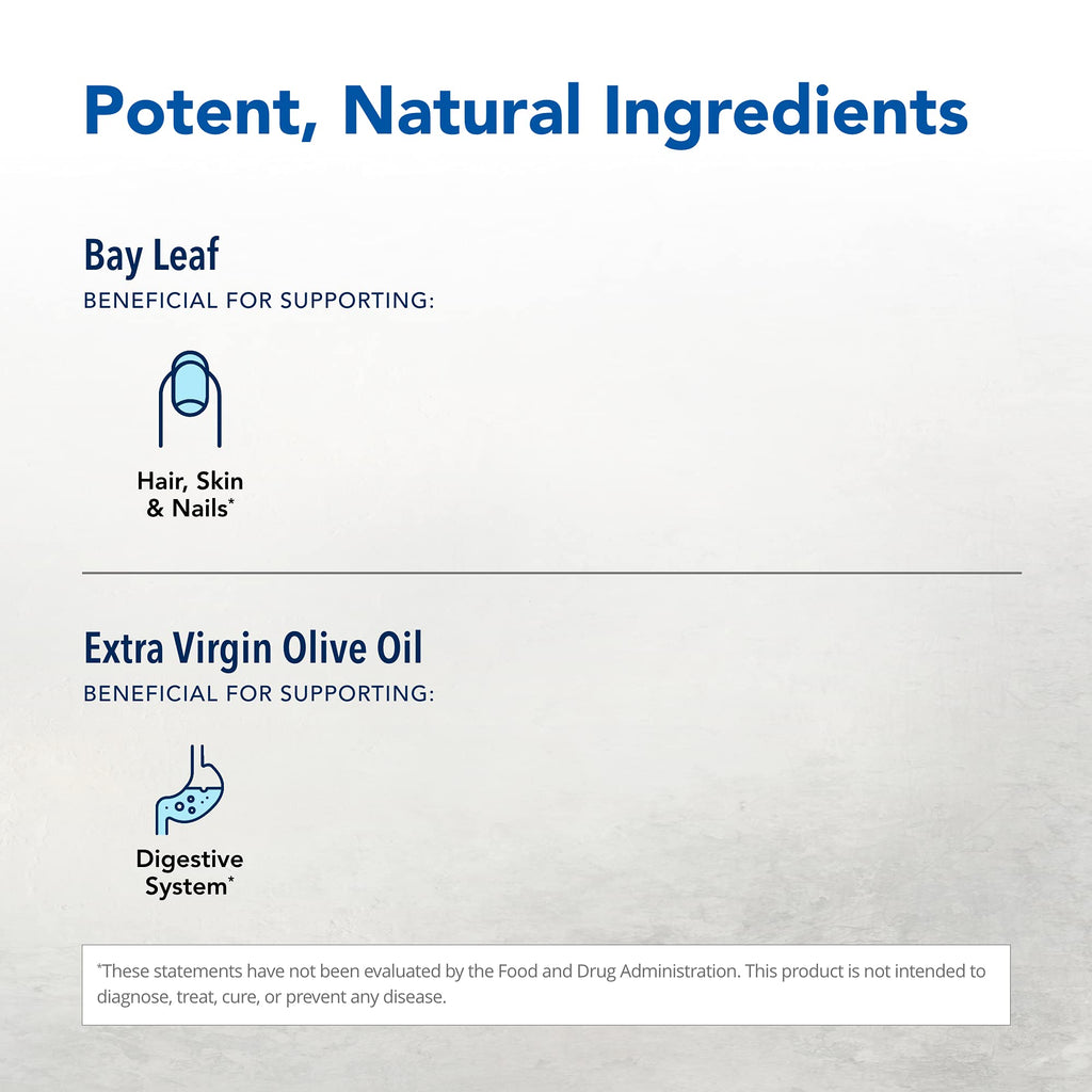 North American Herb & Spice Wild Oil of Bay Leaf – Organic, Non-GMO, 1 fl oz for Skin & Hair Support
