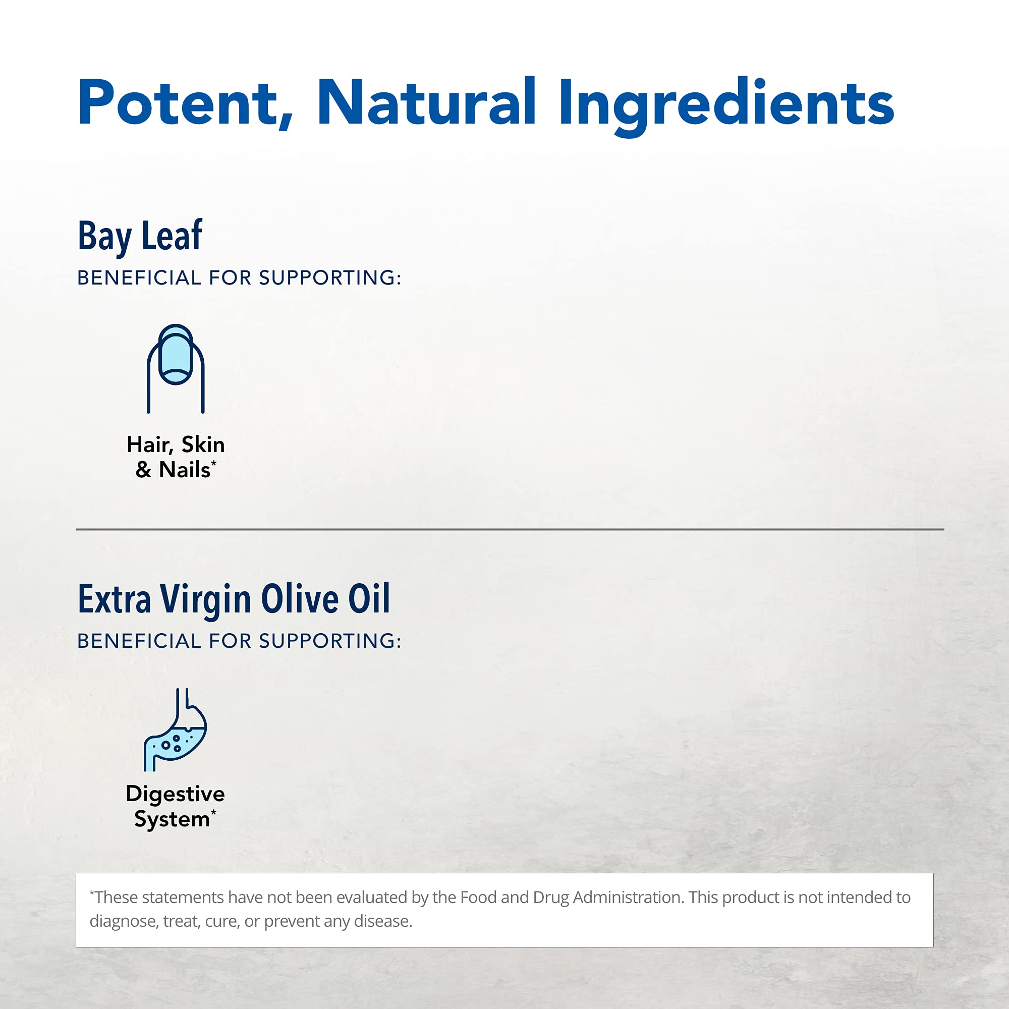 North American Herb & Spice Wild Oil of Bay Leaf – Organic, Non-GMO, 1 fl oz for Skin & Hair Support