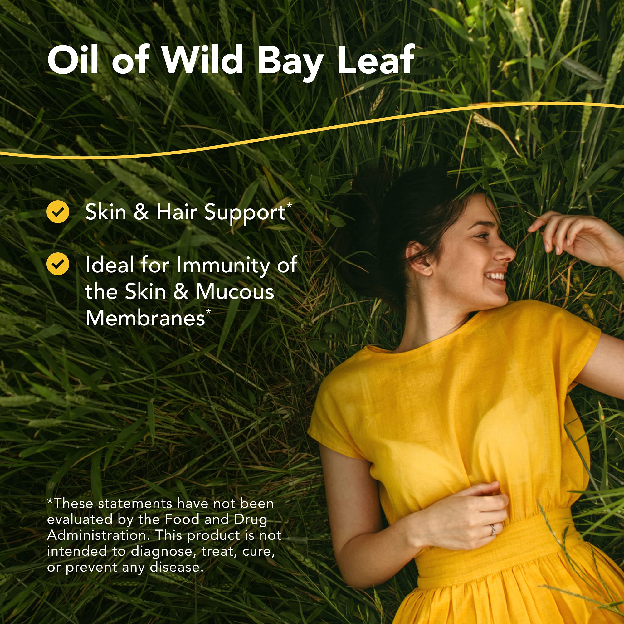 North American Herb & Spice Wild Oil of Bay Leaf – Organic, Non-GMO, 1 fl oz for Skin & Hair Support