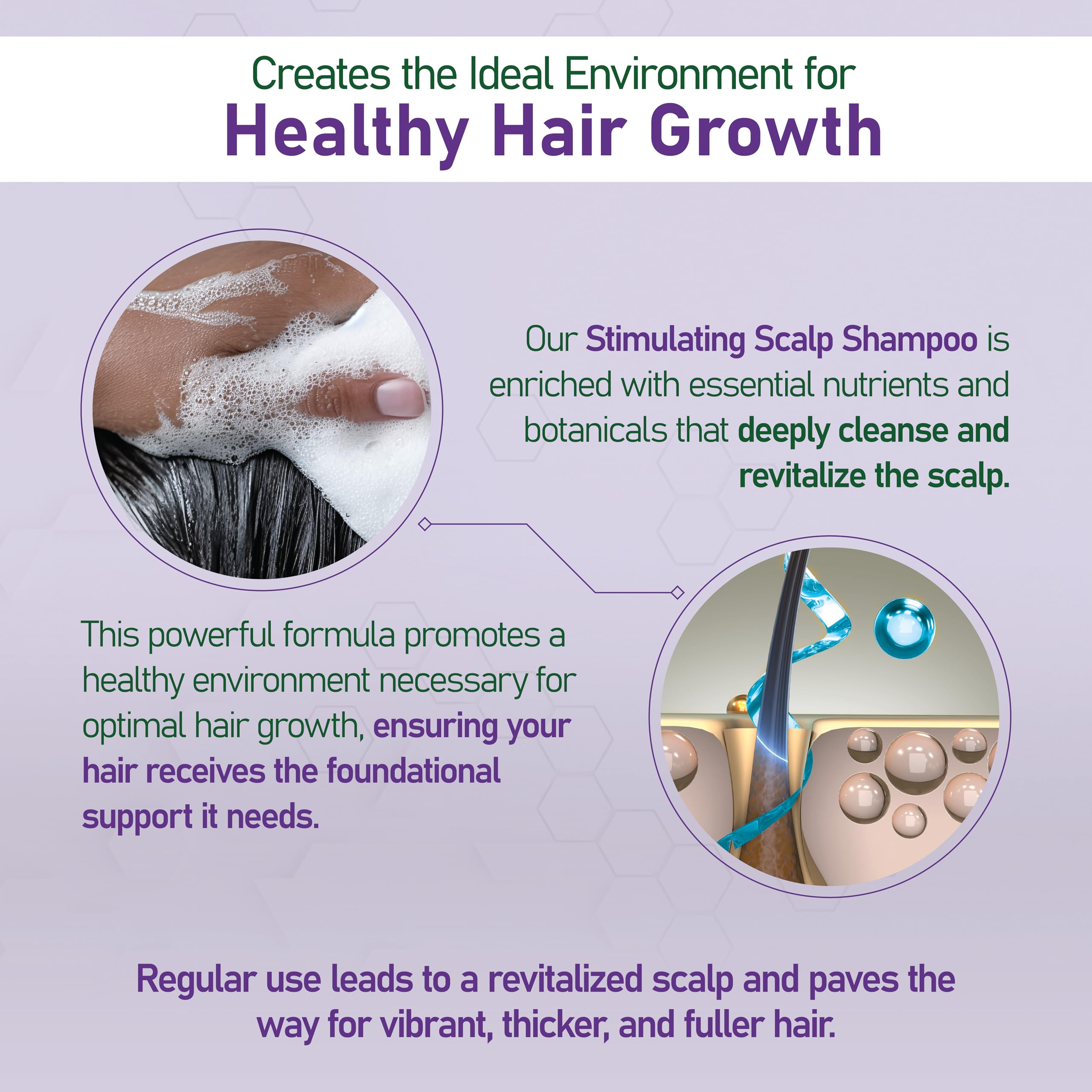 NouriTress Stimulating Scalp Shampoo – Camphor, Peppermint & Tea Tree for Healthy Scalp & Stronger Hair (8 oz)