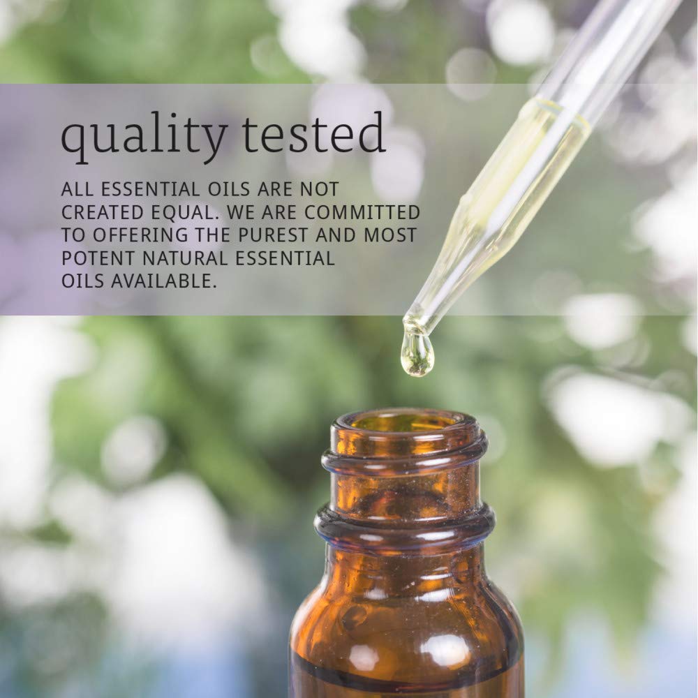 NOW Foods Grape Seed Oil, 32 oz (16 oz x 2) – Light, Odorless Skin & Hair Carrier Oil