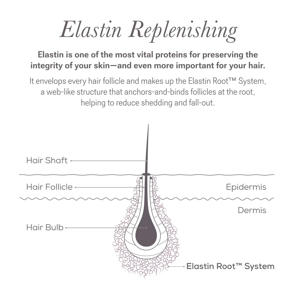 NULASTIN Eyelash Serum & Brow Serum Duo – Fuller Lashes & Brows