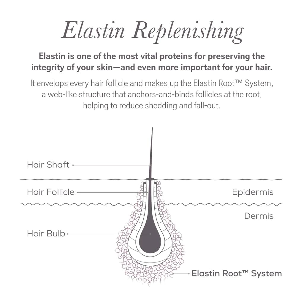 NULASTIN Scalp Serum — Lightweight Hair Density Treatment (2 Count)