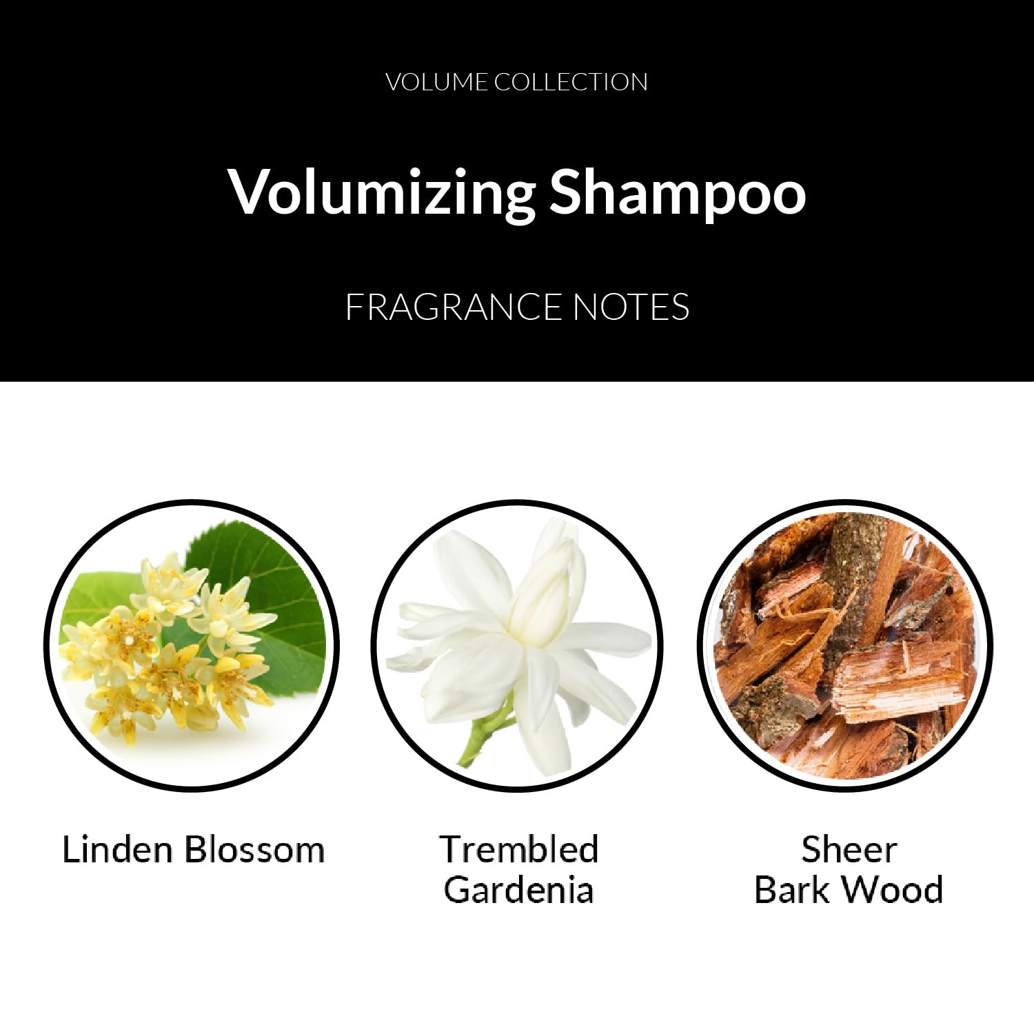 Number 4 Volumizing Shampoo for Women & Men – 25 oz