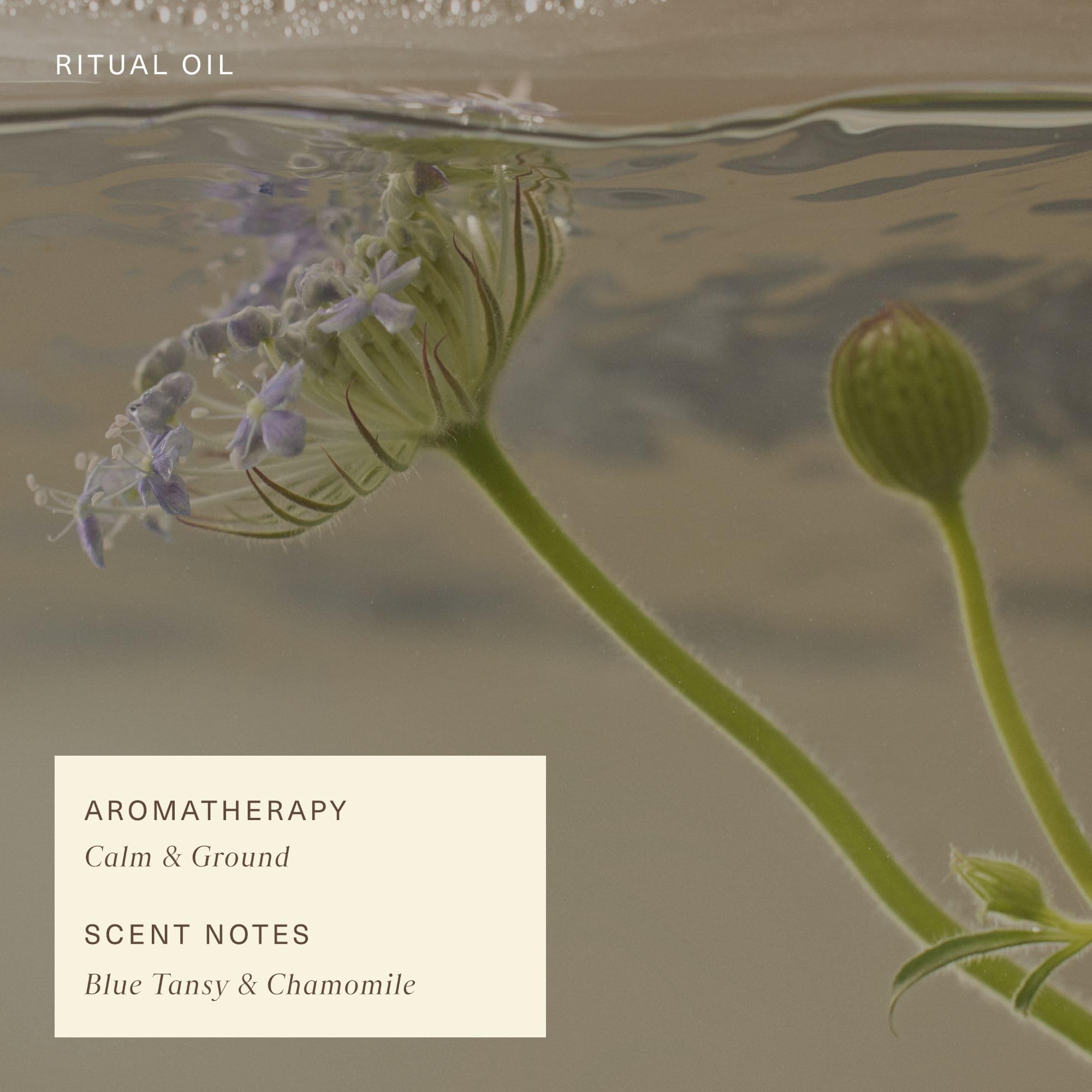 Oak Essentials Ritual Oil – Lightweight Blue Tansy Facial Oil for Balance & Radiance