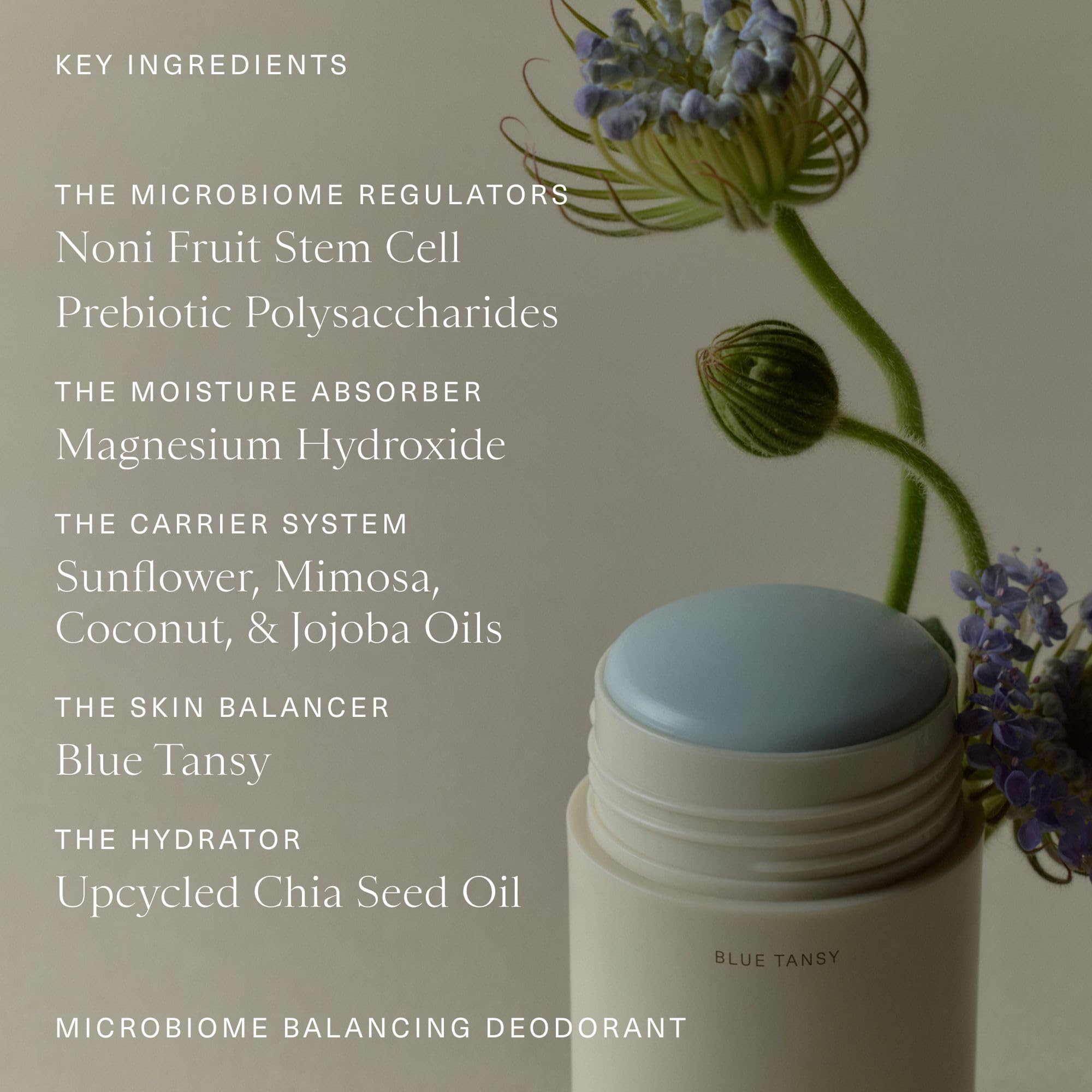 Oak Essentials Microbiome Balancing Deodorant – Aluminum-Free with Blue Tansy | All-Day Odor Protection (1.7 oz)