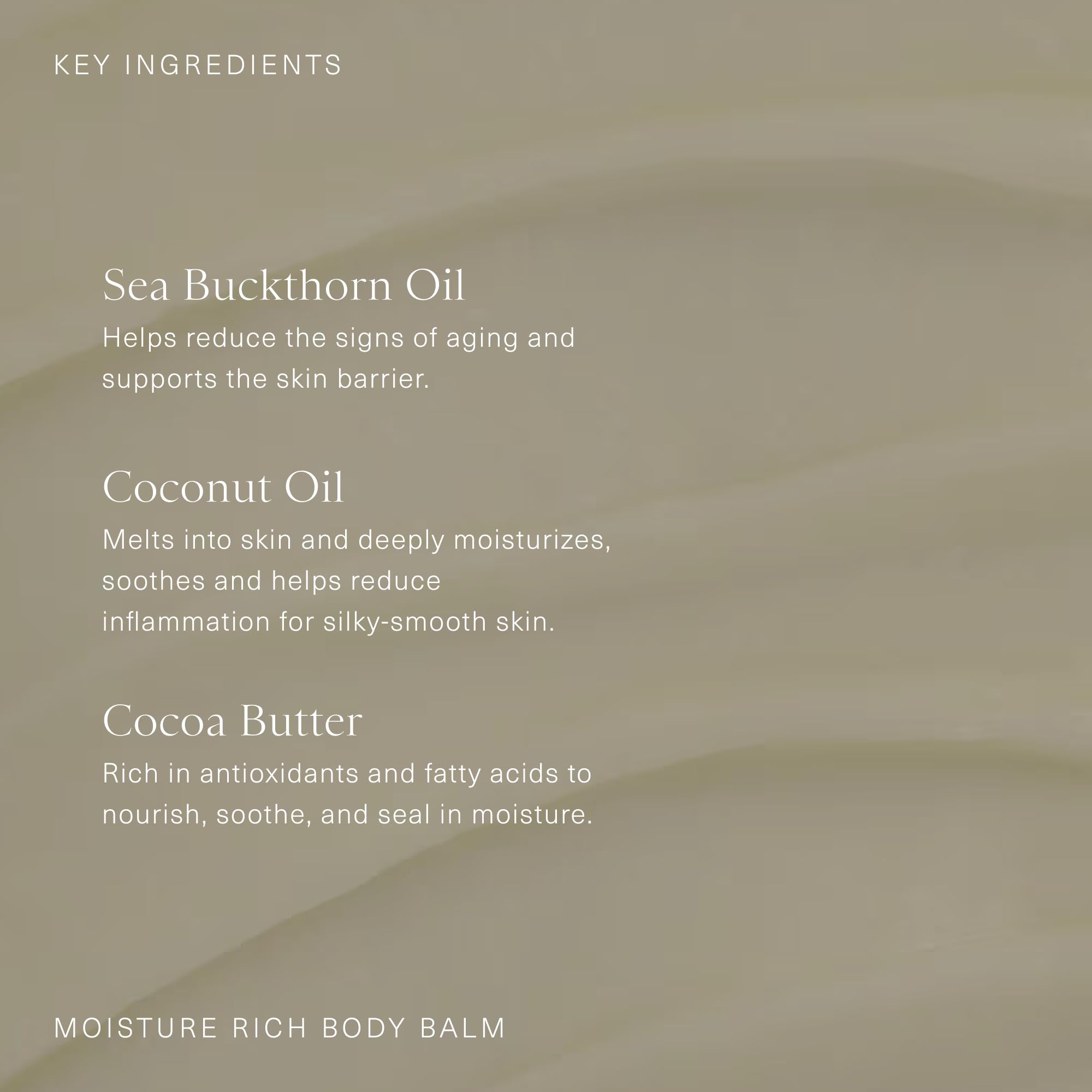 Oak Essentials Moisture Rich Body Balm | Ultra-Hydrating Cream with Sea Buckthorn Oil, Cocoa Butter & Coconut Oil (5.3 oz)