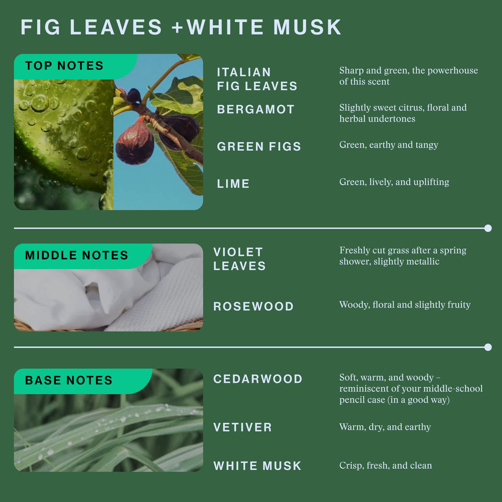 OffCourt Unisex Fragrance: Fig Leaves & White Musk | Clean Vegan Cologne 1.7oz | Made in USA