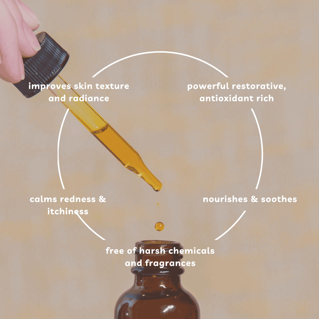 Offernova Organic Rosehip Oil – Cold-Pressed Rosa Mosqueta, USDA Organic, 1 oz