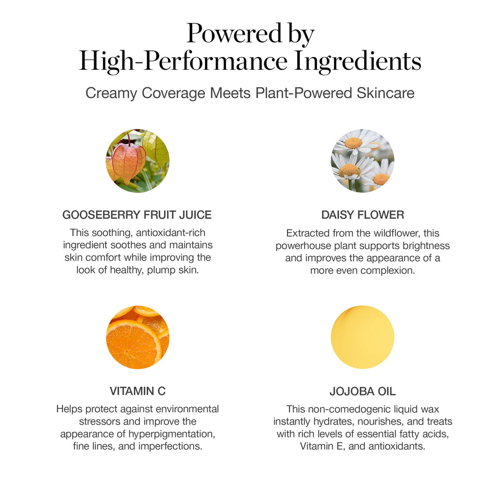 Ogee Complexion Perfecting Liquid Foundation Maple 8.25W — Lightweight Tinted Moisturizer with Vitamin C & Jojoba Oil