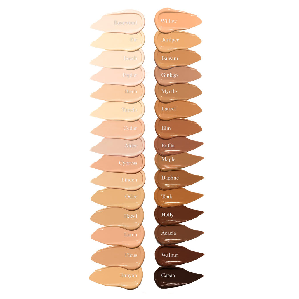 Ogee Complexion Perfecting Under Eye Concealer - Certified Organic Full Coverage Concealer - Buildable Coverage - GINGKO 5.00N - Medium Tan (Neutral Undertones)