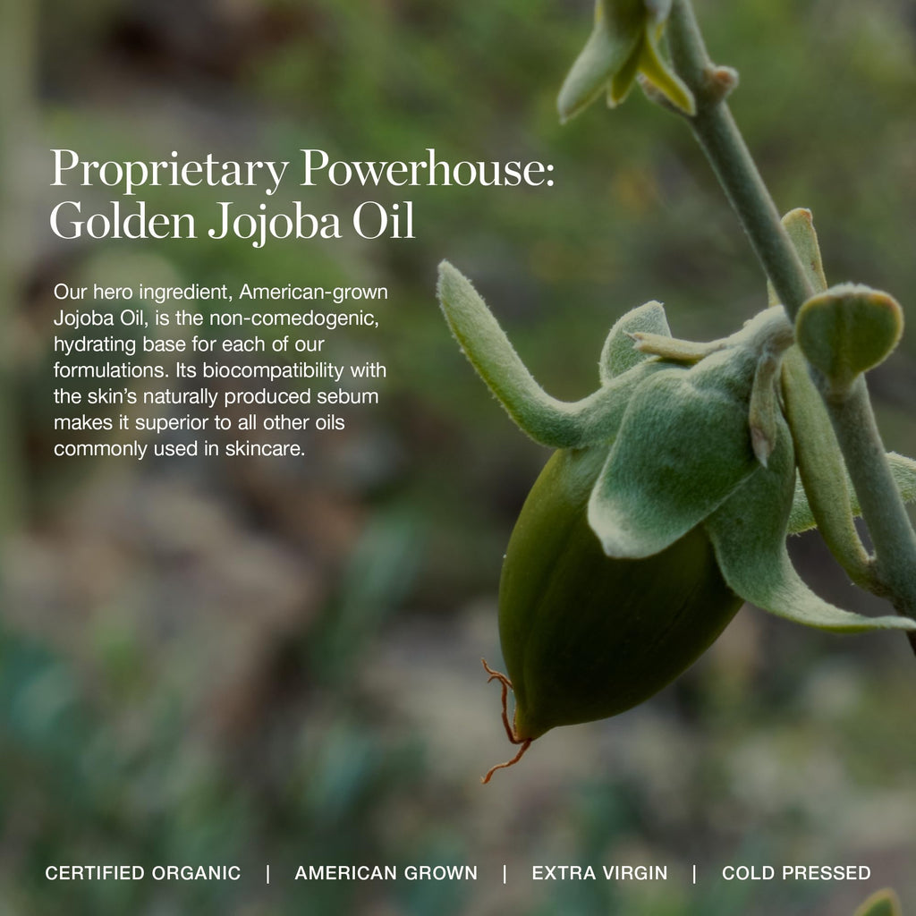 Ogee Midnight's Kiss Rose Quartz Face Stick & Thistle Lip Gloss Duo | Limited Edition Holiday Gift Set