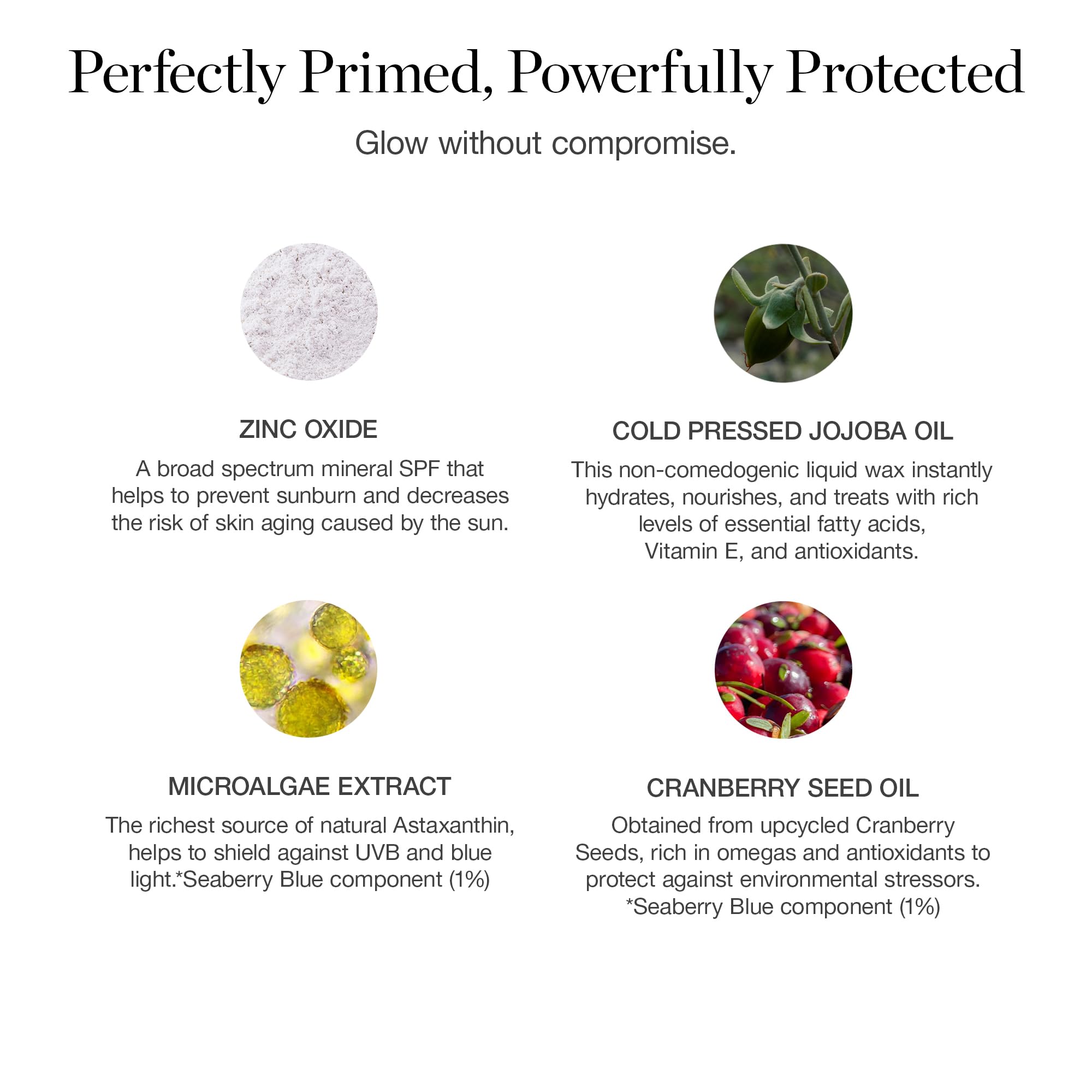 Ogee PROTECT Skin Enhancing Primer SPF 40 - Broad Spectrum Mineral Sunscreen