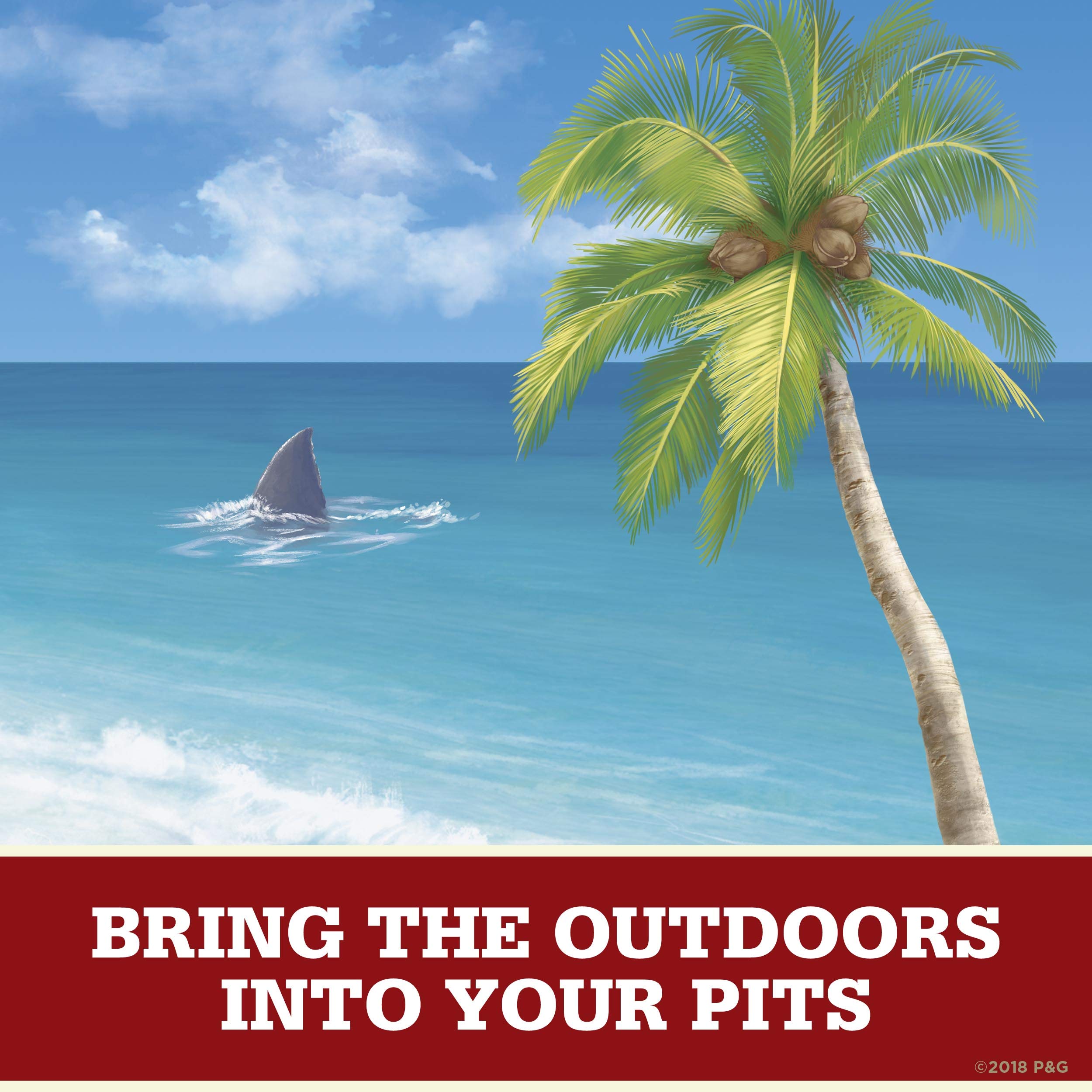 Old Spice Fiji Palm Tree Aluminum-Free Deodorant for Men – 3oz Pack of 3
