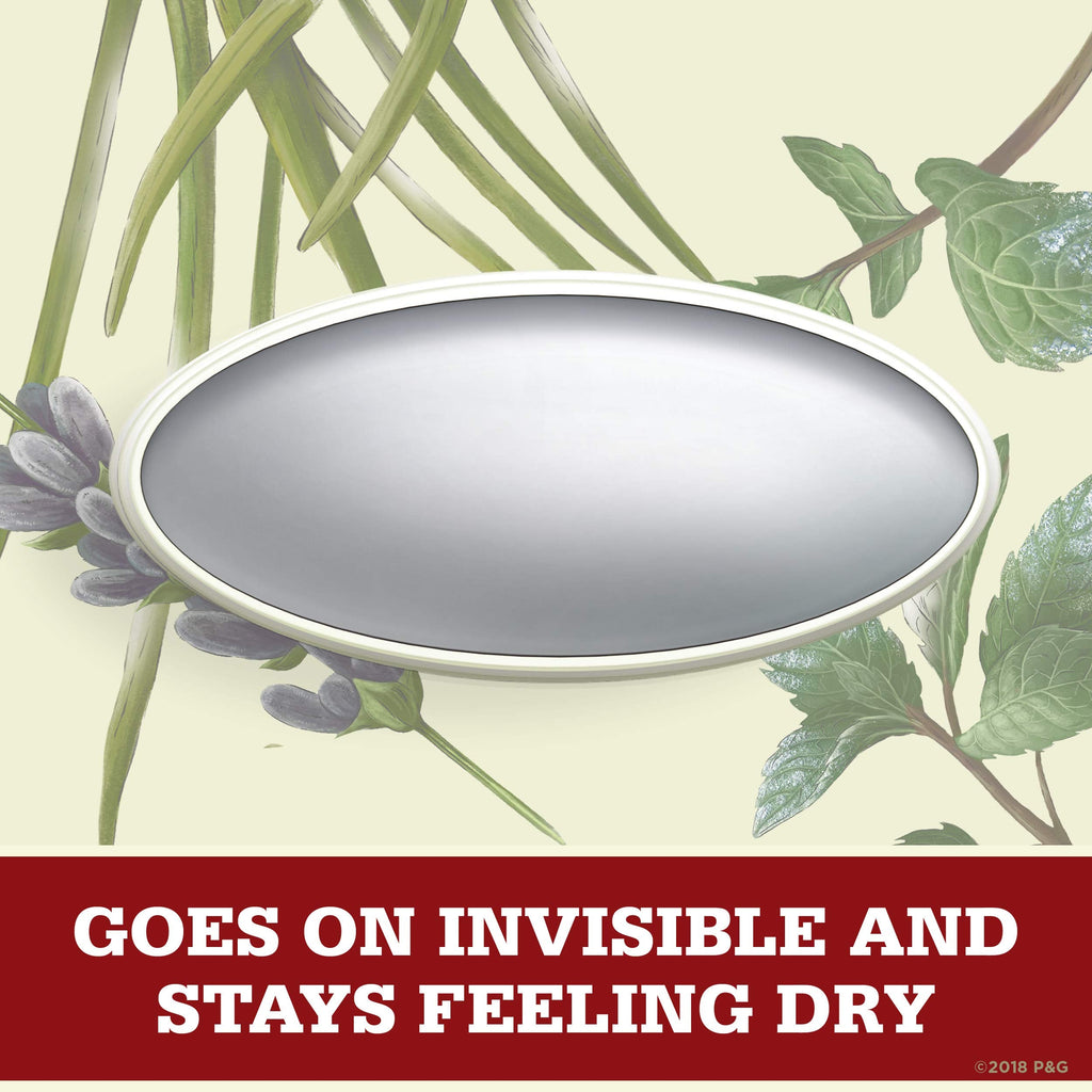 Old Spice Wilderness Lavender Invisible Solid Antiperspirant Deodorant for Men — 2.6 oz (Pack of 12)