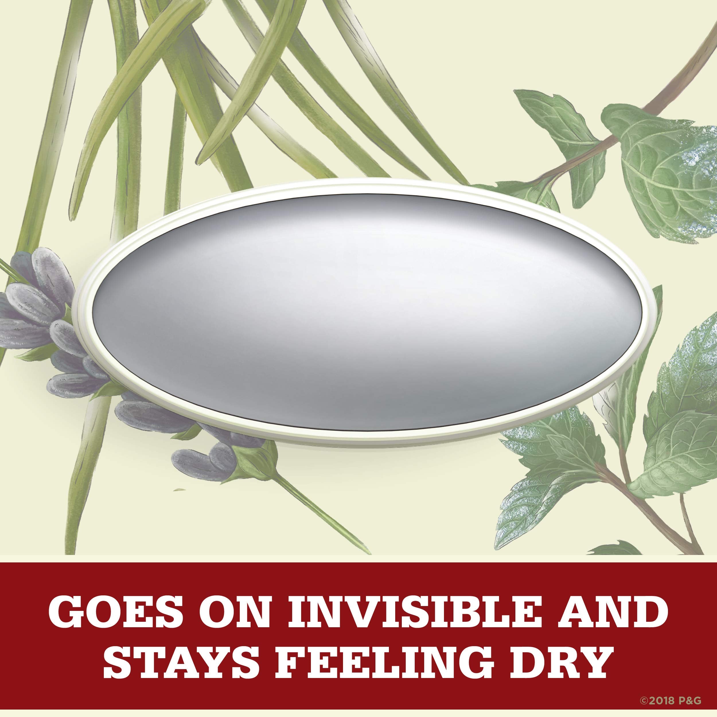 Old Spice Wilderness Lavender Invisible Solid Antiperspirant Deodorant for Men — 2.6 oz (Pack of 12)