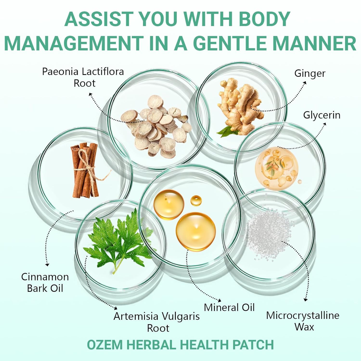 OLEVRALIS Upgraded Ozem Patch for All-Over Body — Comfortable Day and Night Wear, 60 Patches