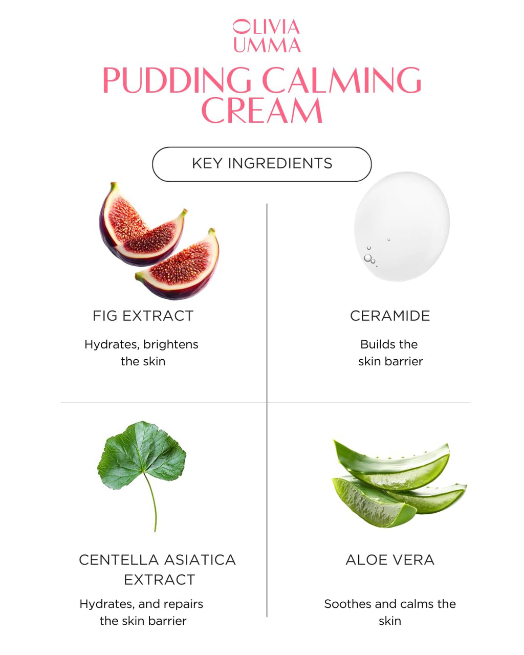 OLIVIAUMMA Glass Skin Tanghulu Fig Pudding Calming Cream – Barrier Repair & Hydration (50g)