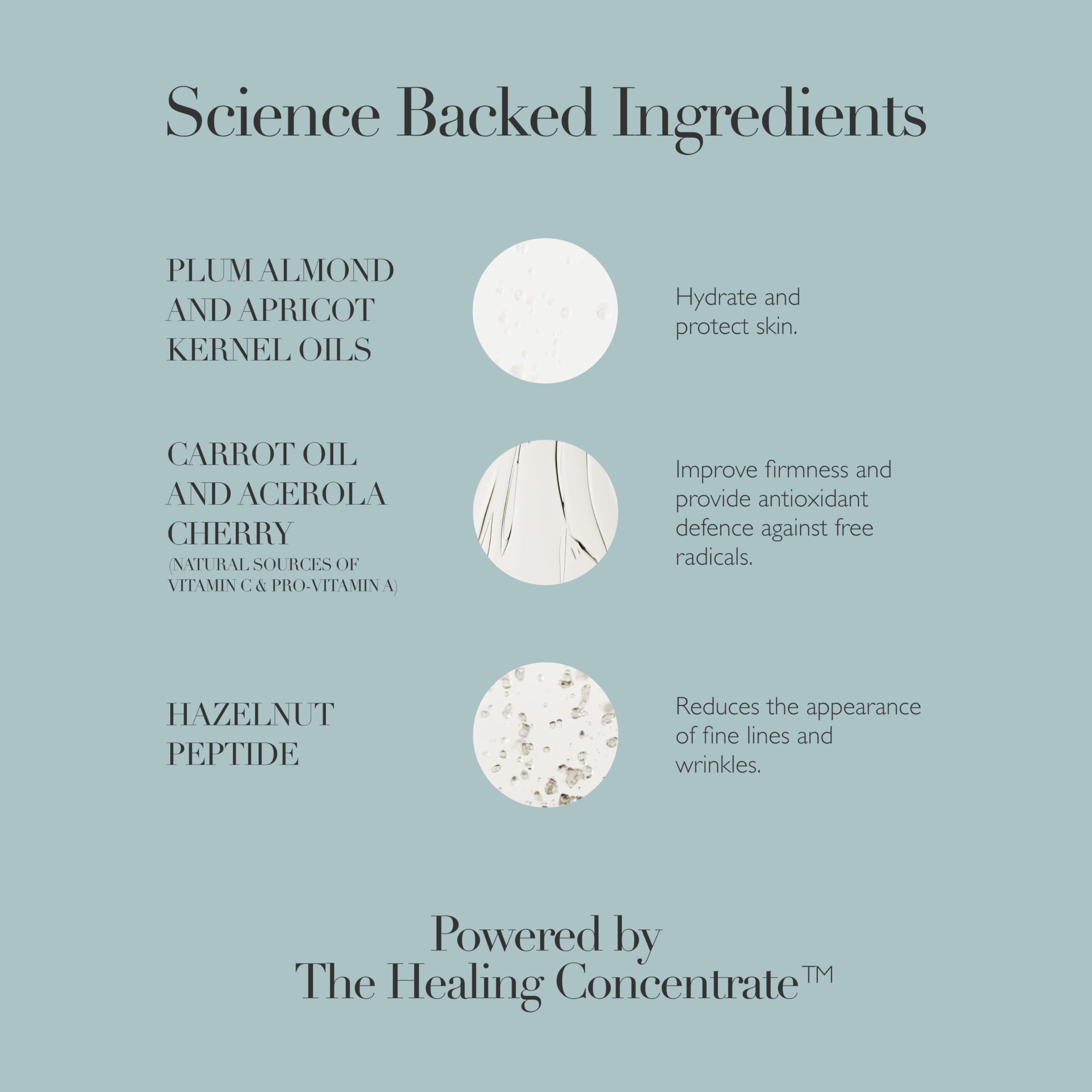 Omorovicza Rejuvenating Night Cream – Restorative Overnight Moisturizer with Hazelnut Peptide & Plum Almond Oil