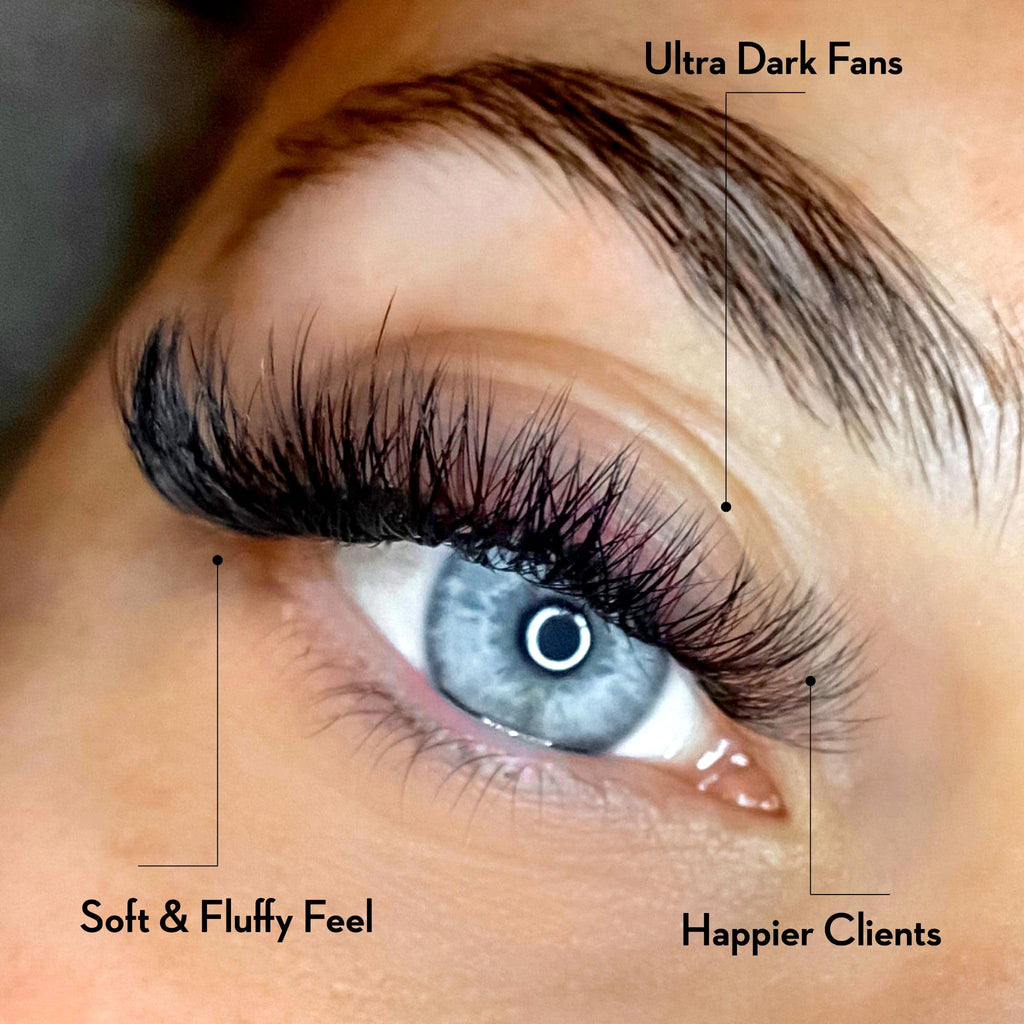 One V Salon Premade Fans Lash Extensions — 384 Fans, 10D-16D, D Curl, 0.07mm