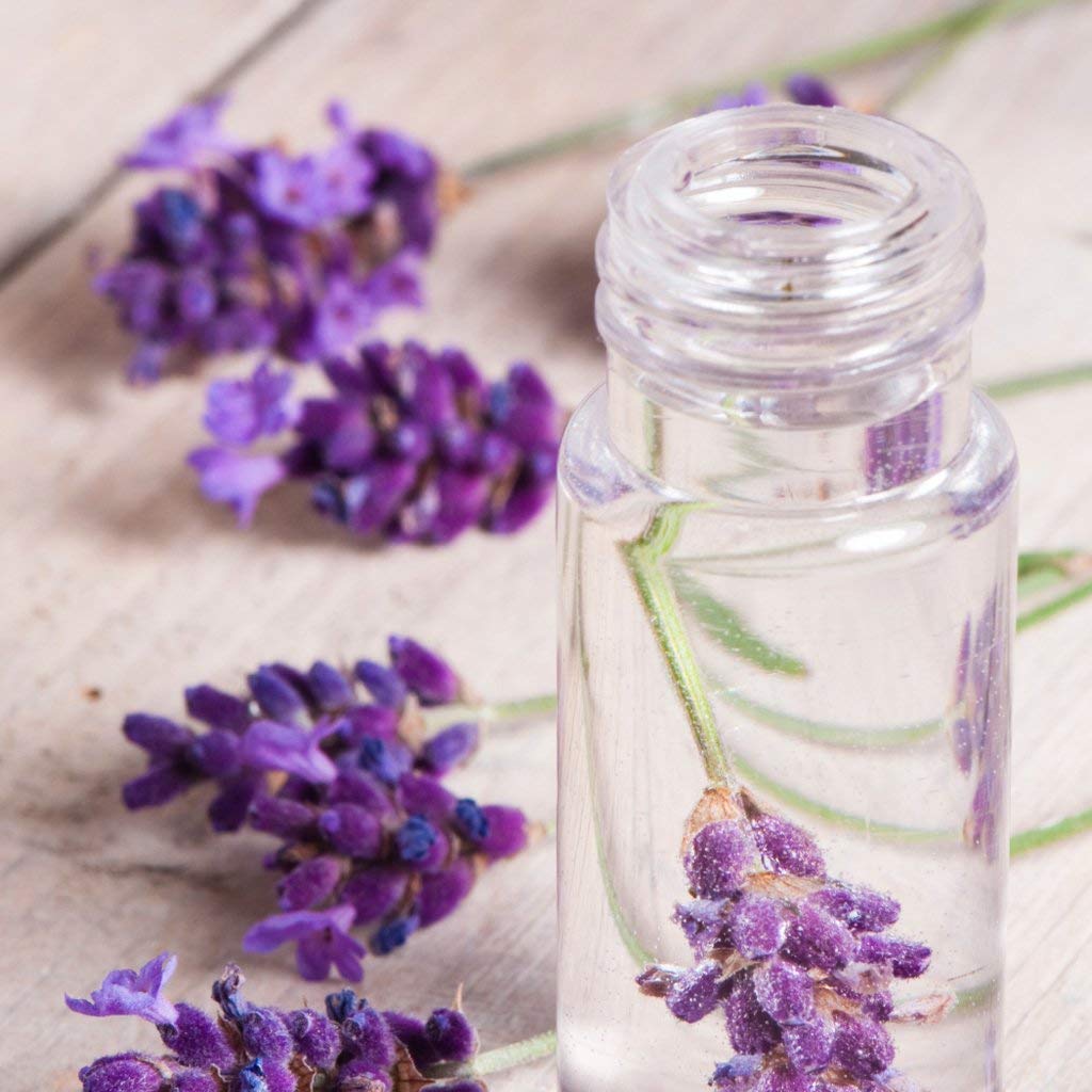 OPO Lavender Water Hydrosol 32oz - Pure Steam Distilled, Non-GMO