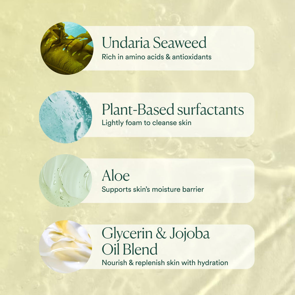 OSEA Undaria Algae Body Wash – pH Balanced Hydrating Cleanser with Citrus Scent, vegan & non-toxic (8oz)