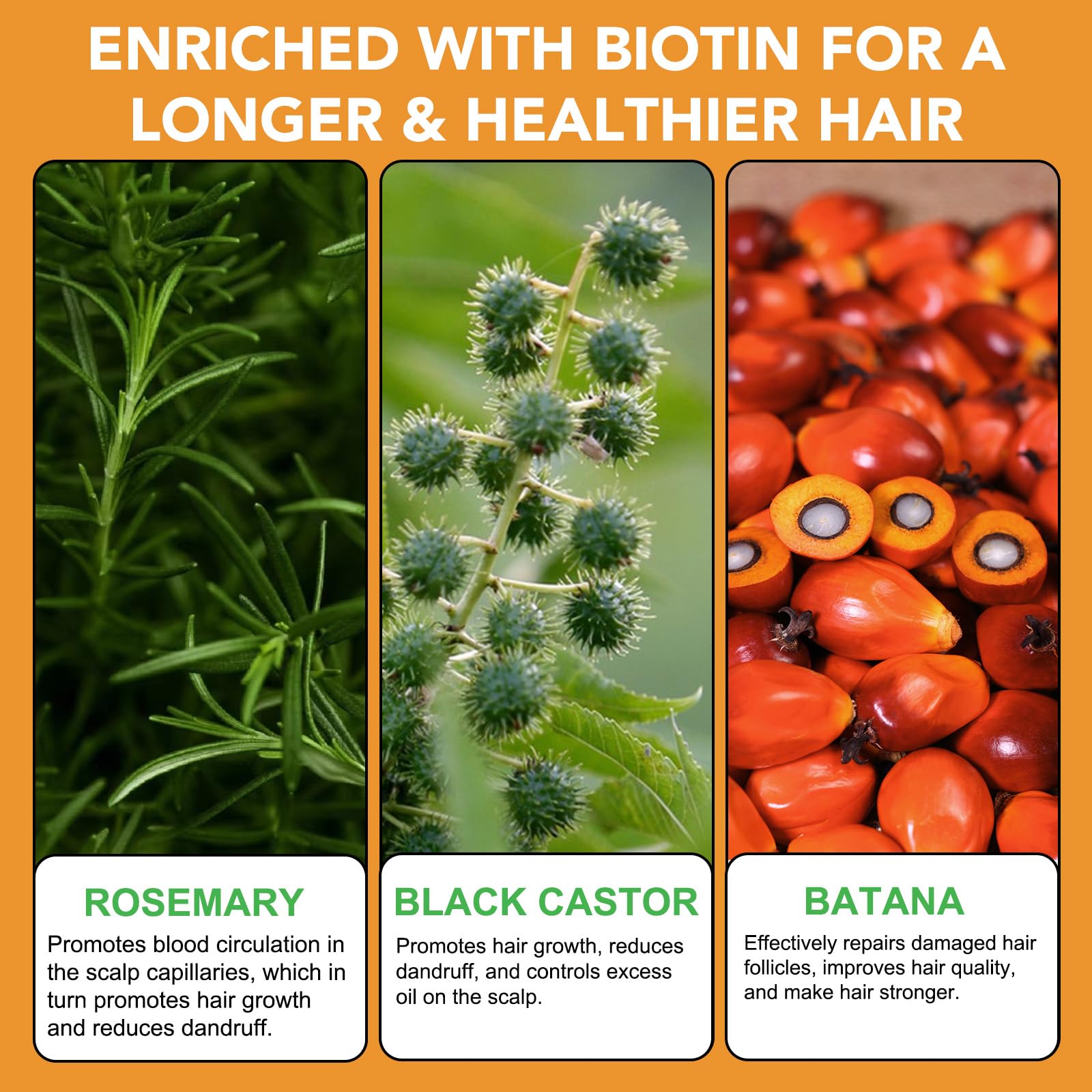 O.SECERT Biotin Shampoo & Conditioner for Hair Loss — Thickening Formula with Rosemary, Black Castor & Batana Oil