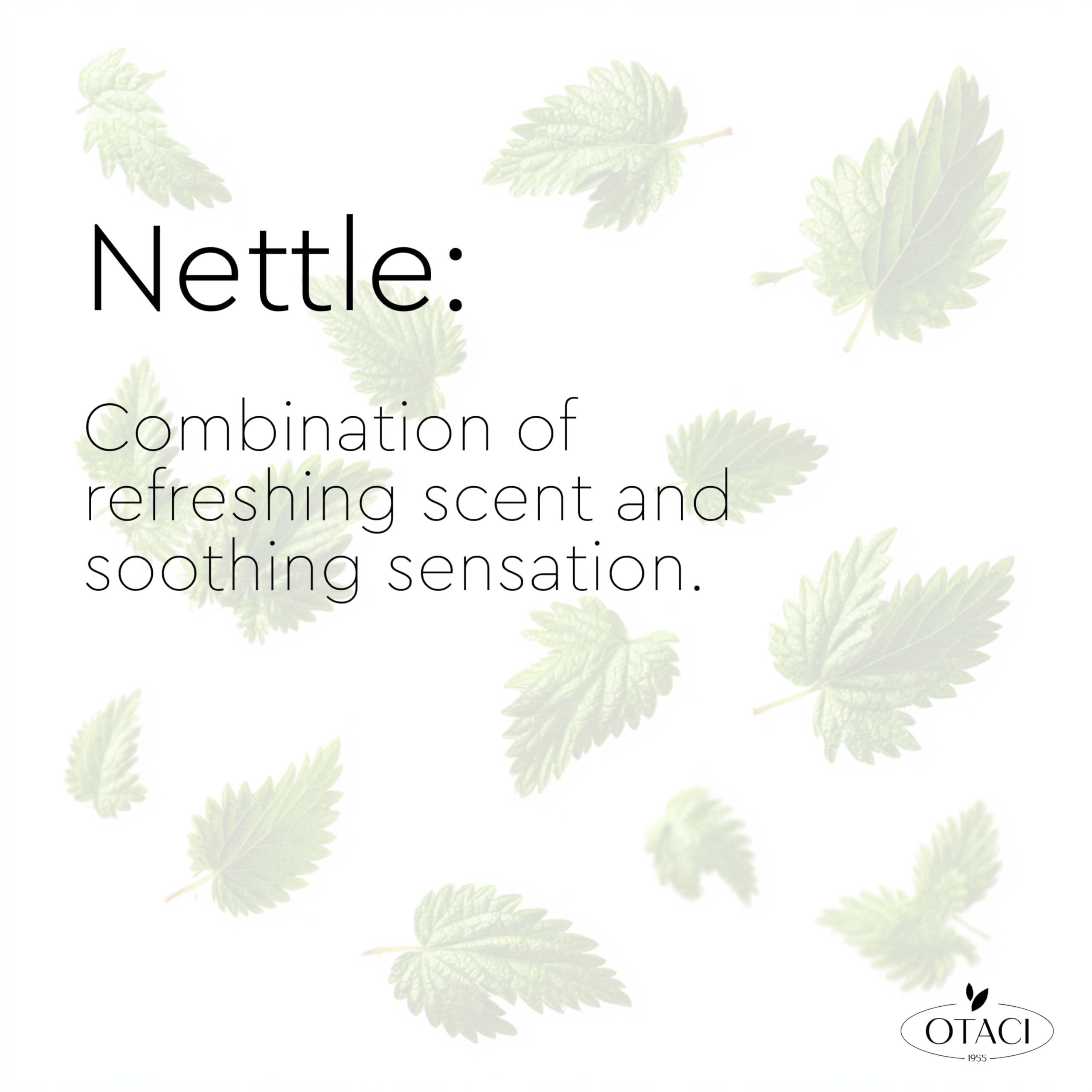 OTACI Oil Balancing Nettle Shampoo – Deep Cleansing for Oily Hair (13.5 oz) | Vegan & Cruelty-Free