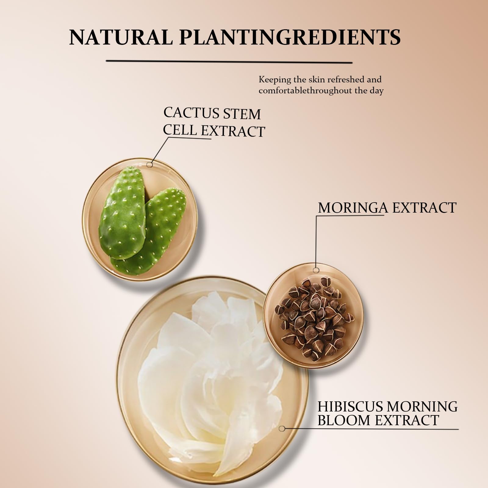 OUSHANG 4-in-1 Foundation | Medium/Light Spectrum, SPF50+, Hydrating & Waterproof