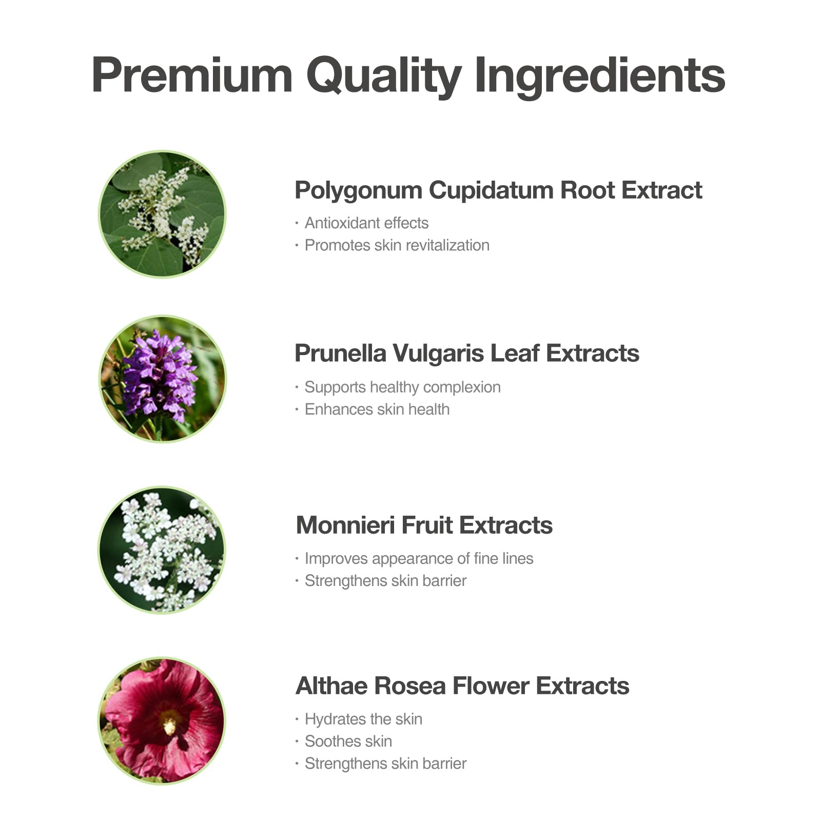 OxygenCeuticals Acell-300 Fluid – Oil-Free Hydrating Ampoule for Dry & Sensitive Skin (50ml)