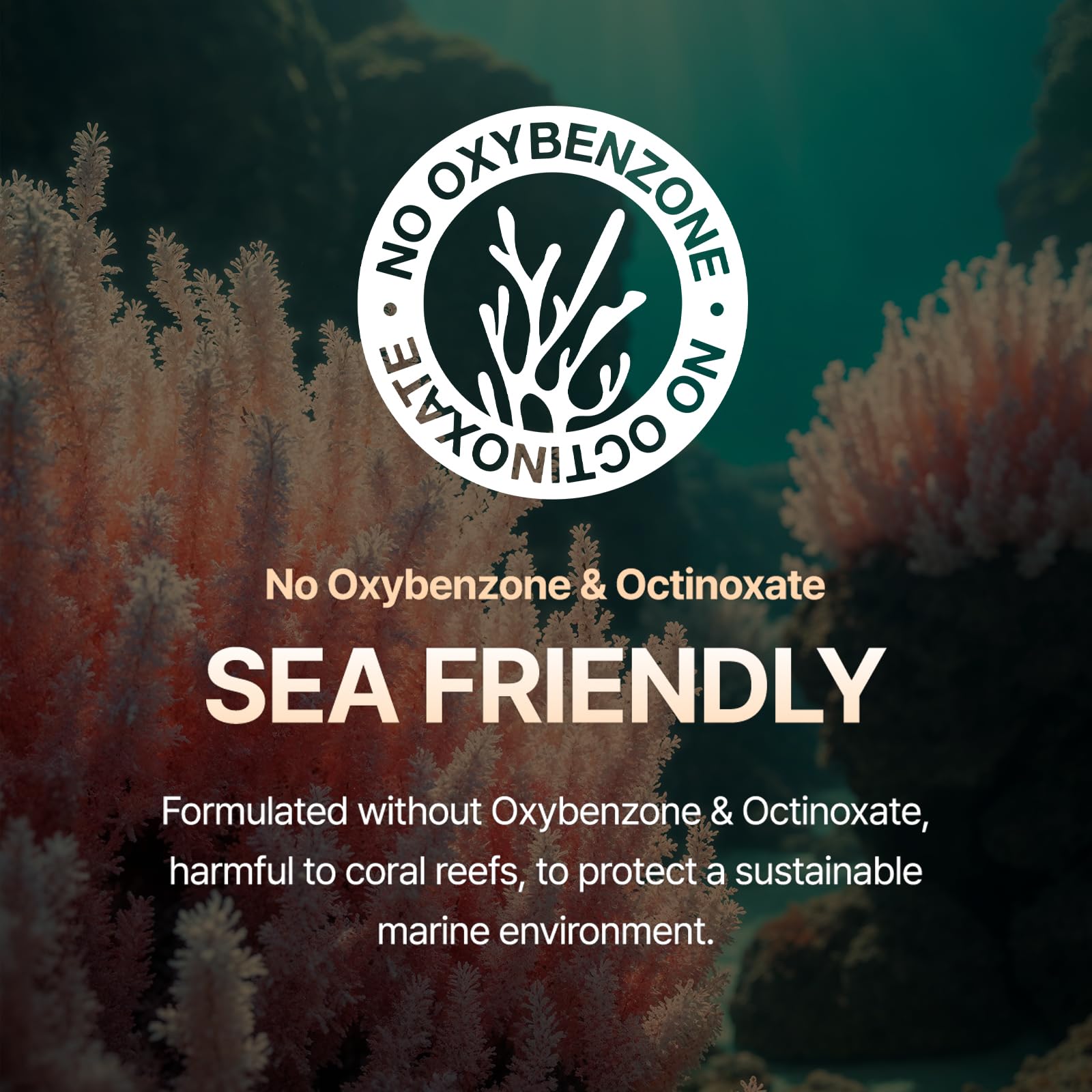 OxygenCeuticals TP Sun Guard SPF 50+ – Reef-Friendly Daily Sunscreen