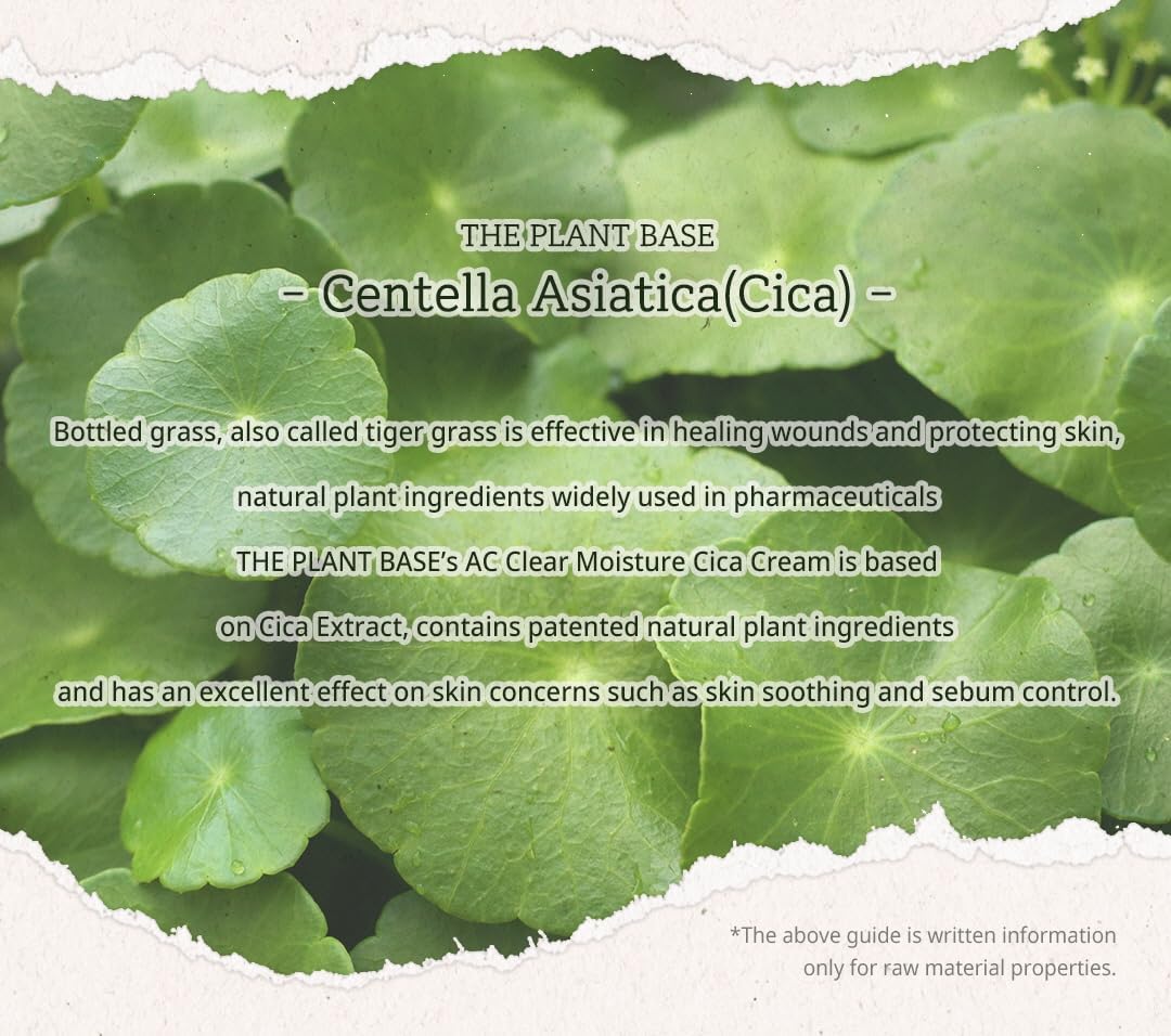 P'LAB Plant Base Cica Distillate Moisture Cream – 73% Centella Leaf Water, 100ml