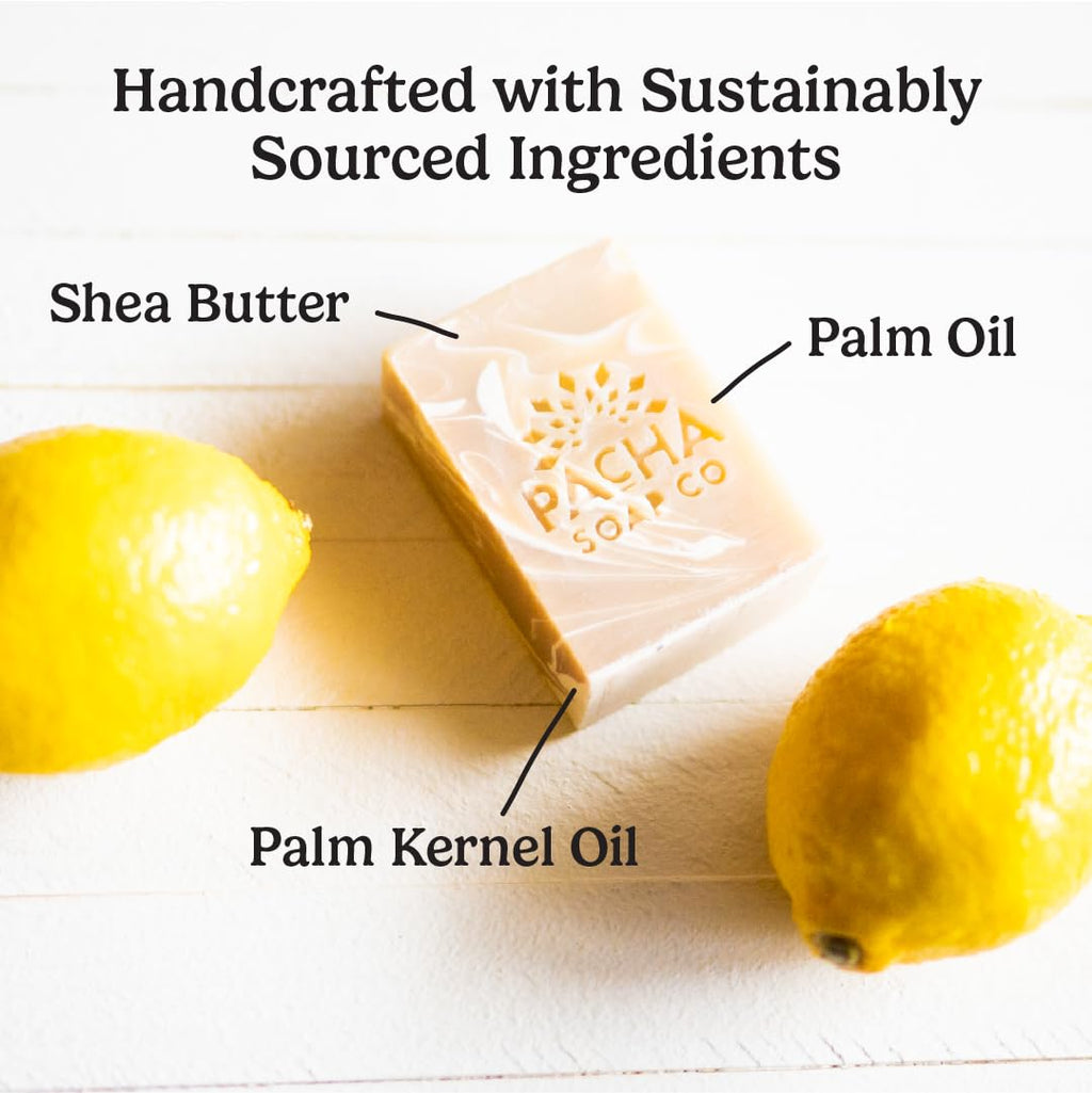 Pacha Soap Co. Earthy Clean Bundle: Coconut Lemon, Dirty Hippie & Clarifying Charcoal (3×4 oz)