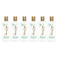 Panama Jack Aloe Moisturizer Lotion — After Sun Daily Skincare with Aloe, Olive Oil & Vitamin E (Pack of 6)