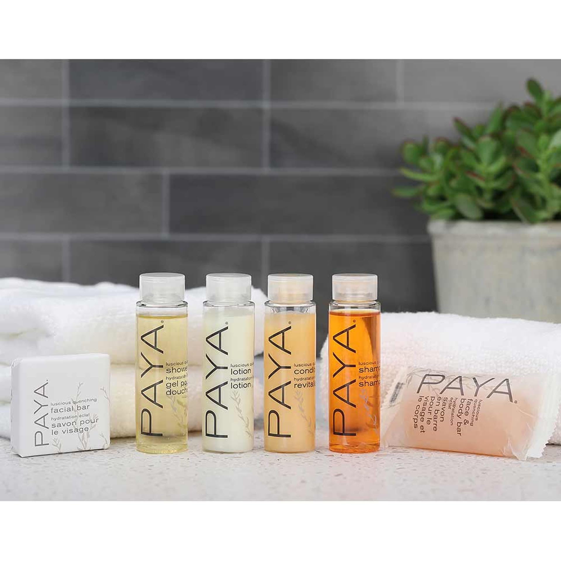 PAYA Shower Gel – Huntington Bottle, 1 oz (144 Bottles per Case) | Organic & Cruelty-Free