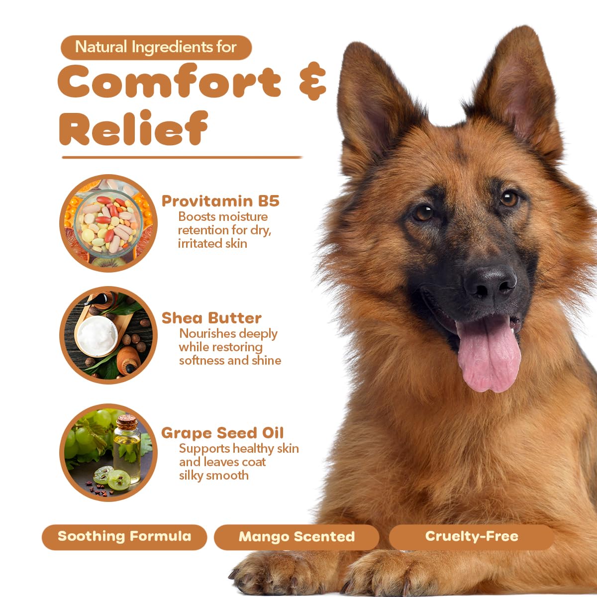 P.E.T. Scratchiez Soothing Oatmeal & Aloe Conditioner for Dogs & Cats — Mango Coconut, 16 oz