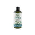 Petal Fresh Pure Strengthening Seaweed & Argan Oil Shampoo – 16 oz