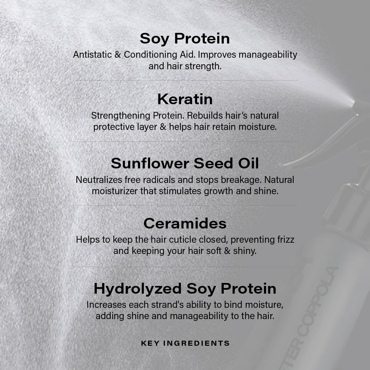 Peter Coppola Just Blow Heat Protectant Spray for Blow-Drying — Smooth, Anti-Frizz, Shine