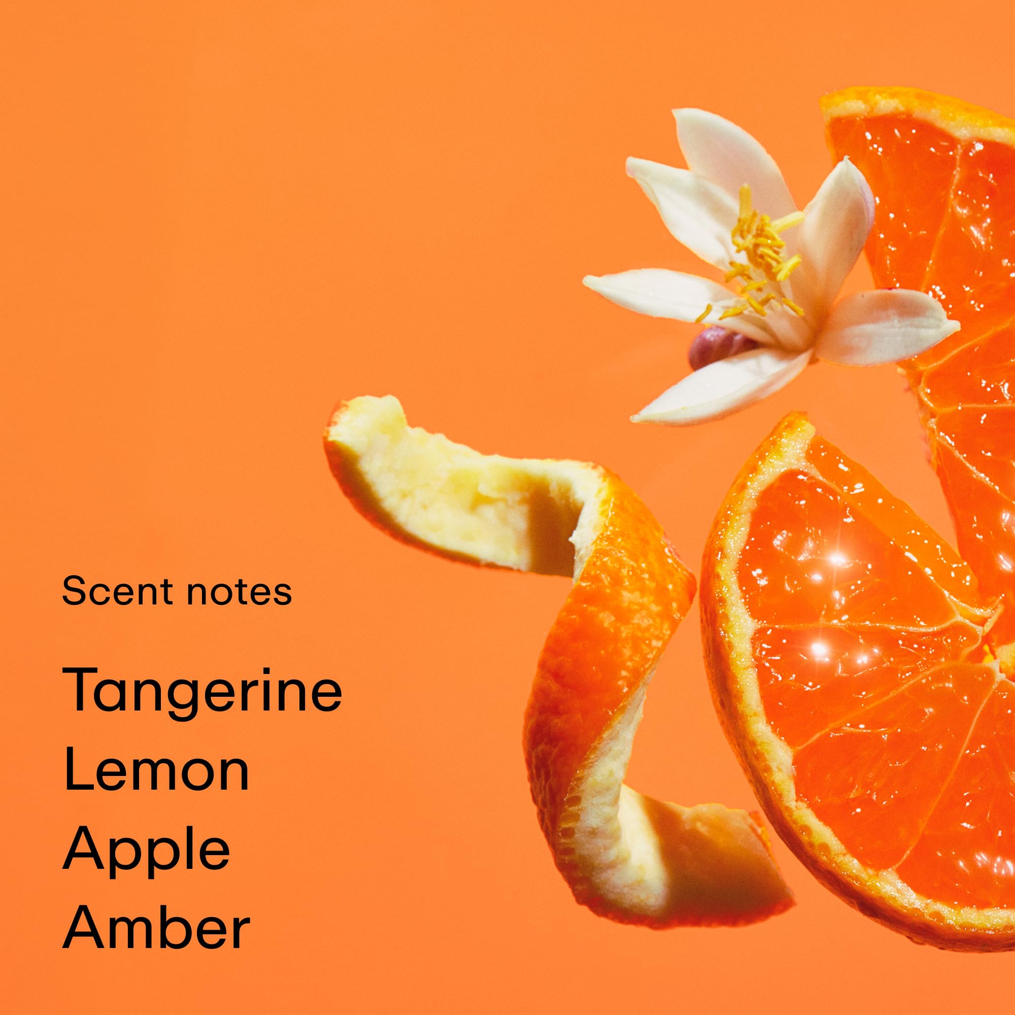 PHLUR Tangerine Boy Eau de Parfum – Travel Size, Spicy Citrus (9.5mL)