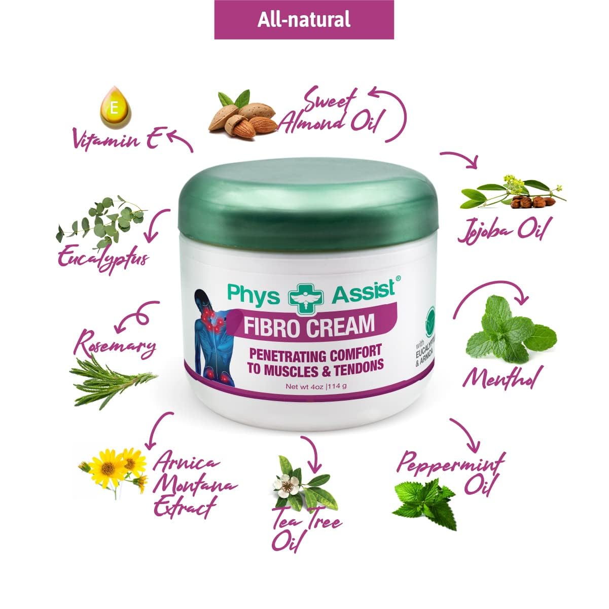 PhysAssist Fibro Cream Deep Soothing — Head-to-Toe Relief, 3 Jars (12 oz)