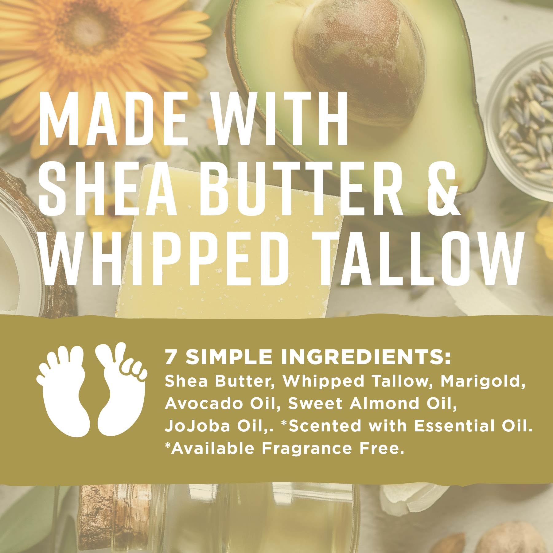 Pilotfish After Sun Body Butter – Shea Butter, Whipped Tallow & Coconut Oil (3.8 oz)