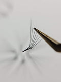 6D 1200 Premade Volume Fans – 9–16mm, 8 Curl Options (C CC D M L) 0.07mm | For Pro Lash Artists | Pinneacle