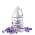 Plainly Earth Antimicrobial Hand Soap 64 oz – Sweet Lavender Rose Foaming Refill