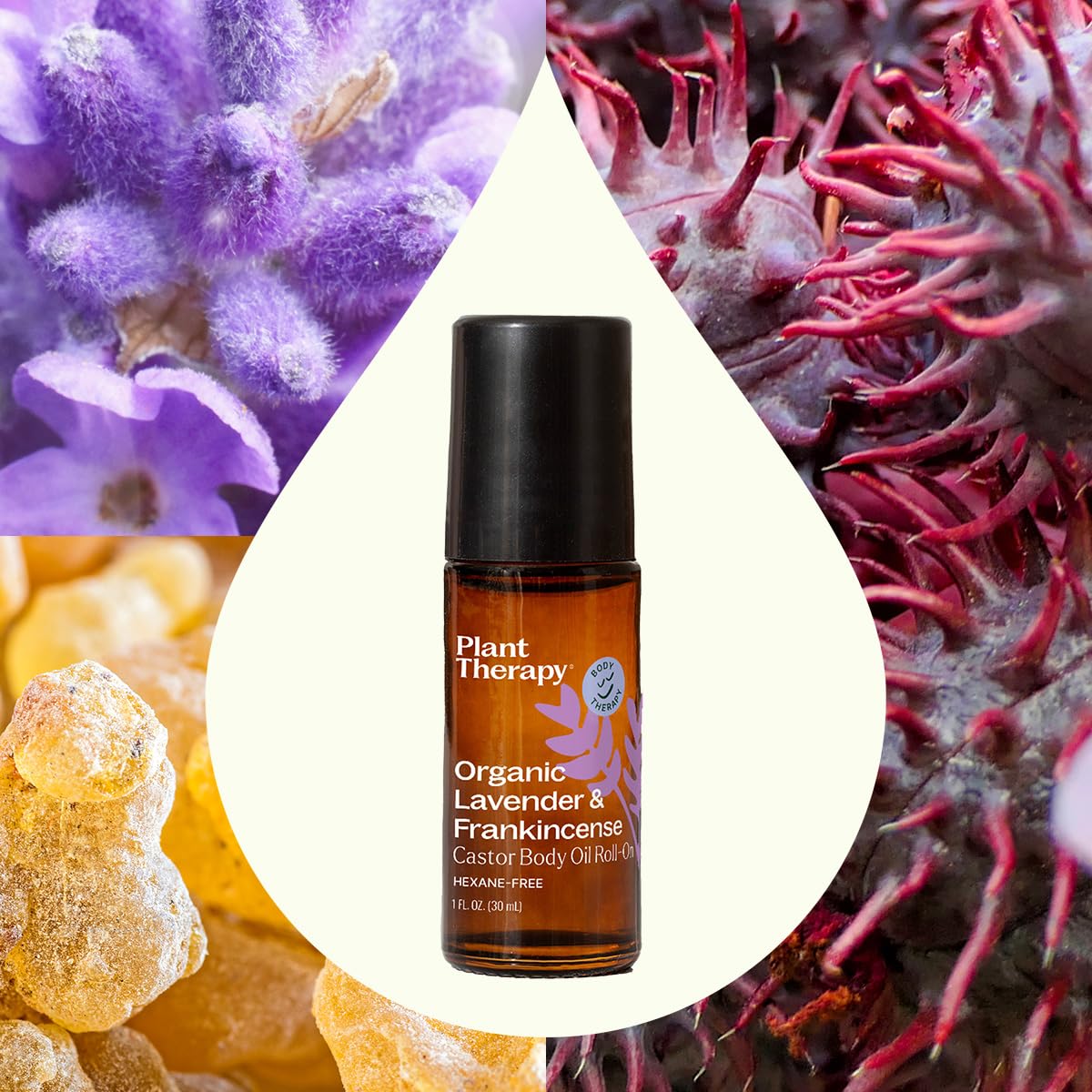 Plant Therapy Organic Lavender & Frankincense Castor Oil Roll-On – 30 mL