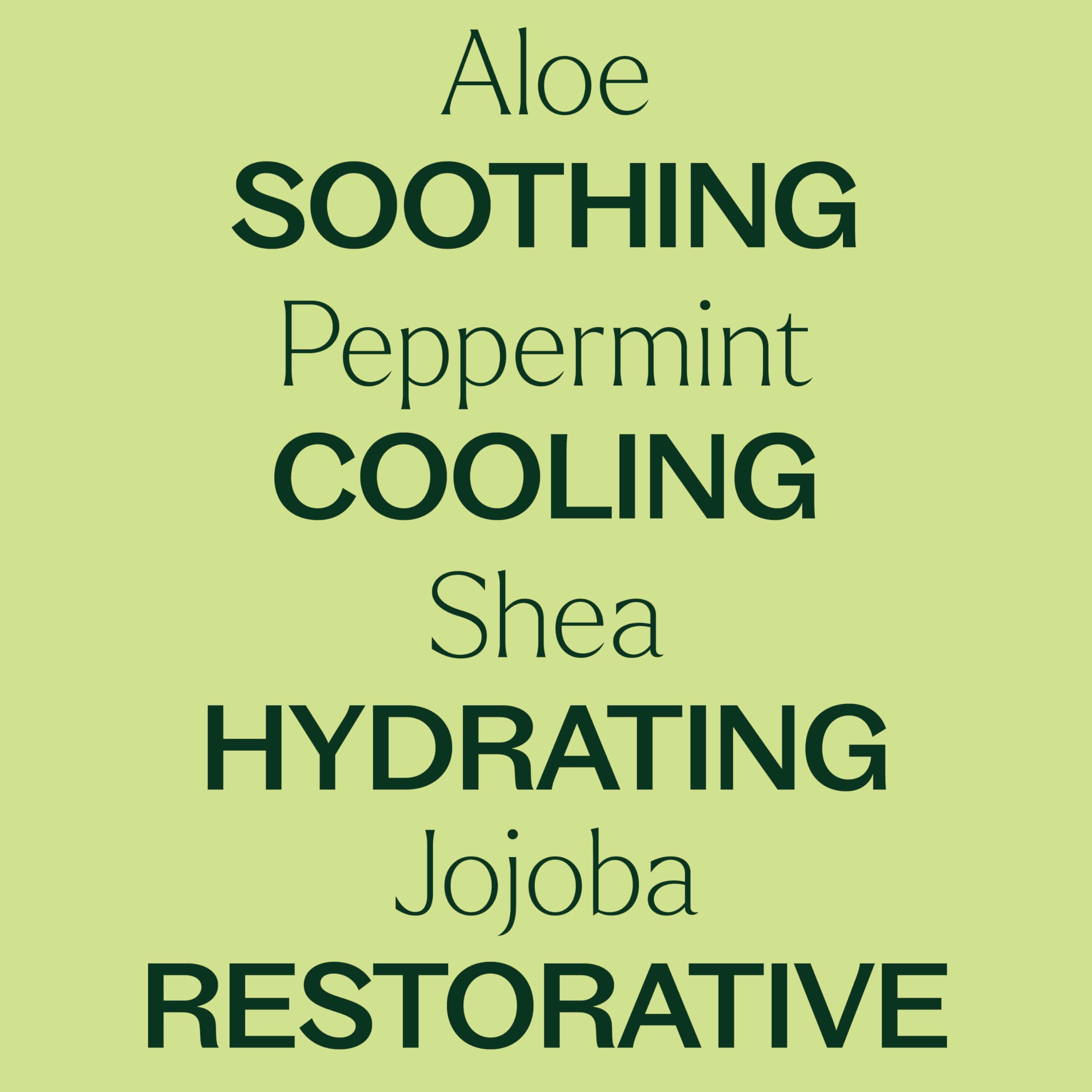 Plant Therapy Peppermint Body Lotion with Aloe & Shea — Hydration for Soft Skin, 8 oz