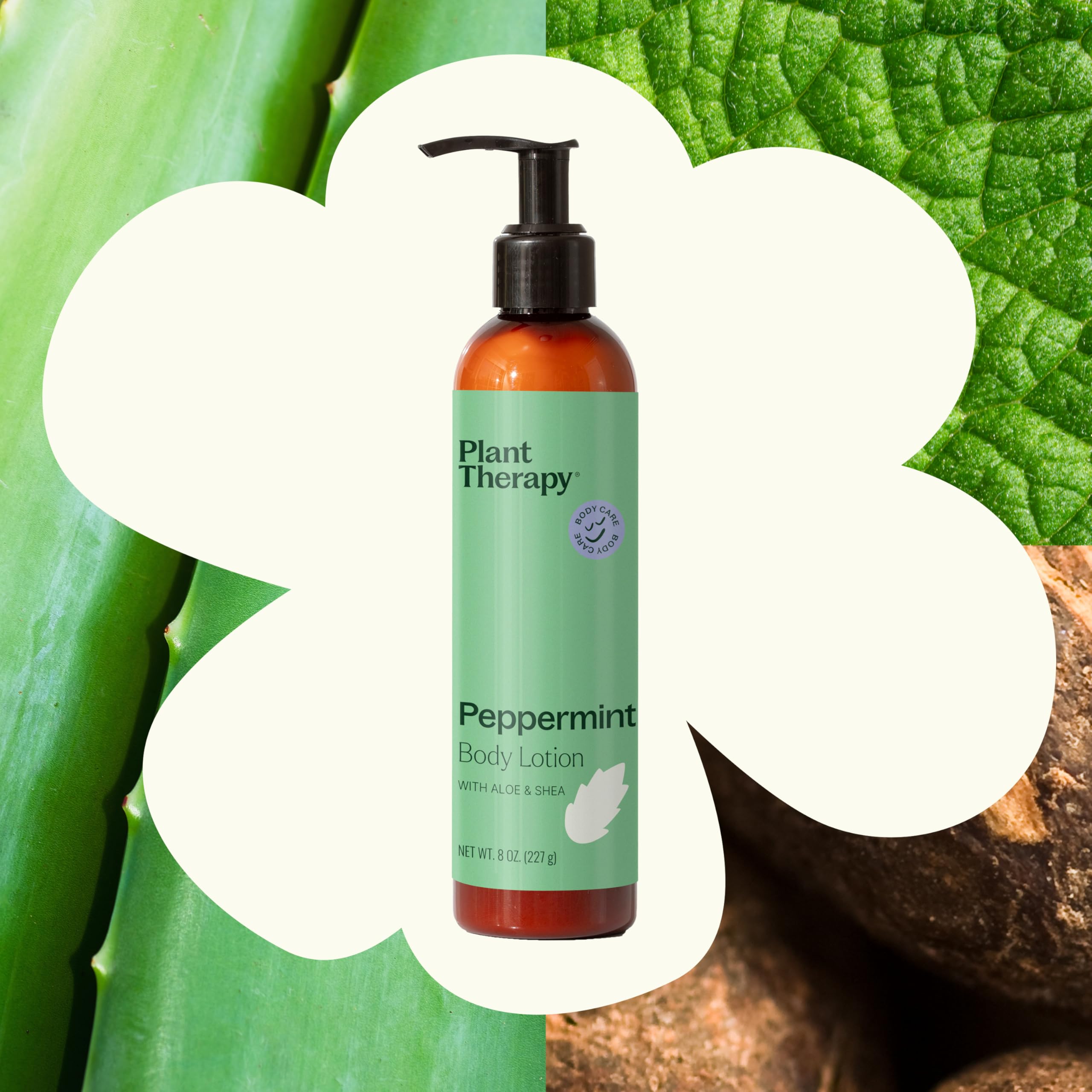 Plant Therapy Peppermint Body Lotion with Aloe & Shea — Hydration for Soft Skin, 8 oz